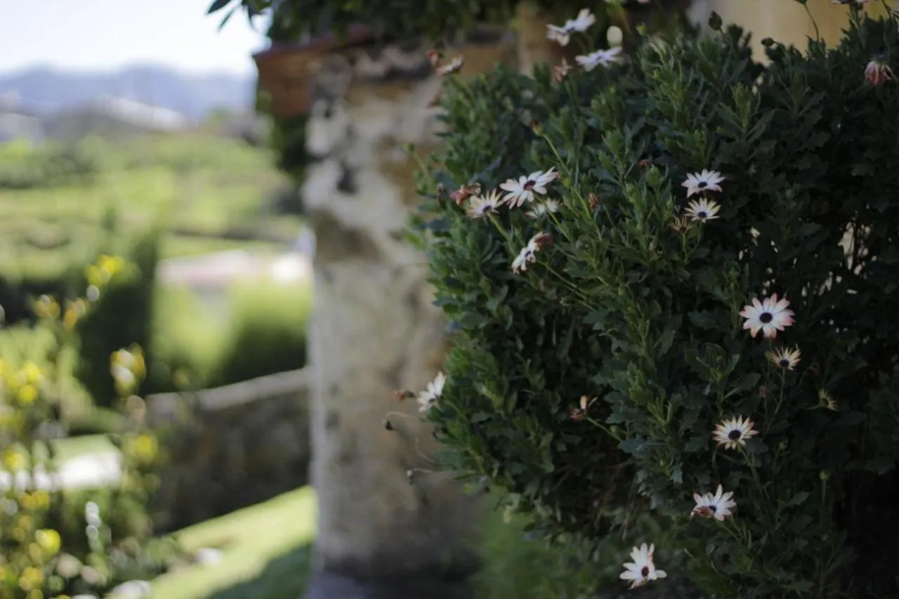 Hotel y Cabañas una Cosita de Zacatlán