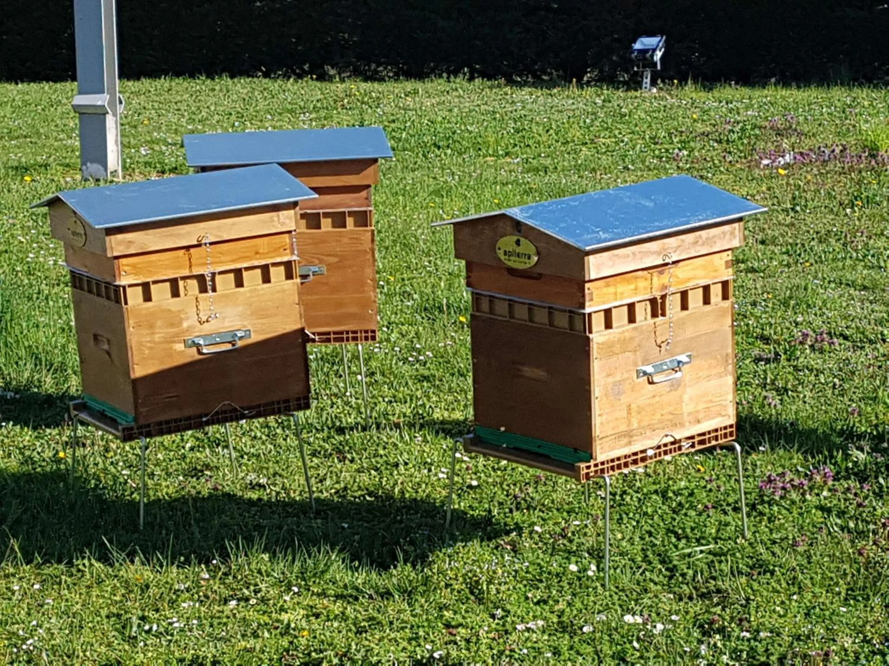 Sports in Novotel Dijon Sud