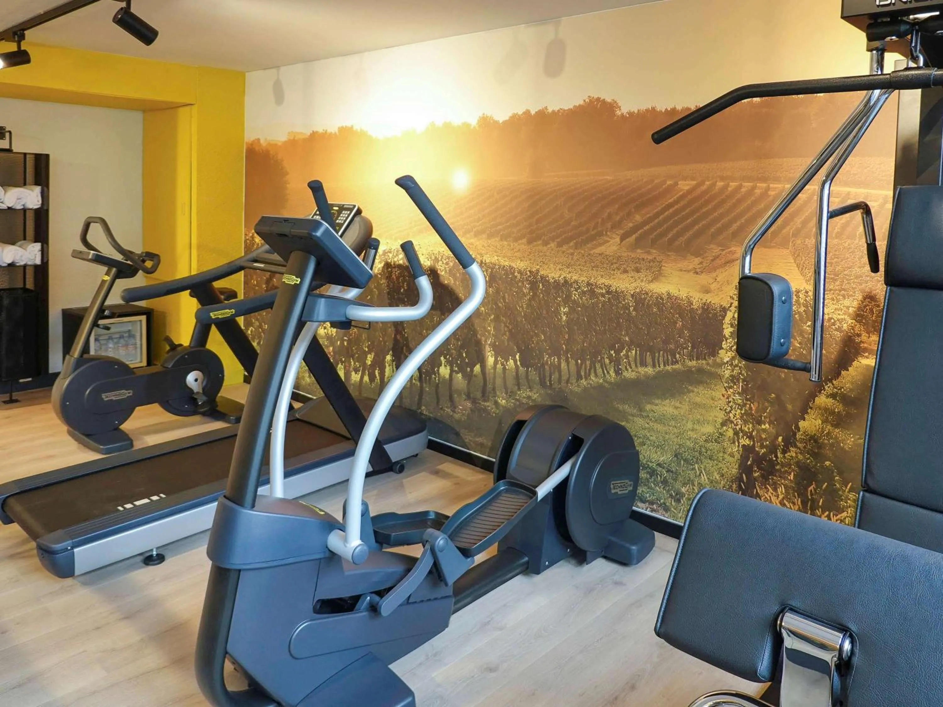 Fitness centre/facilities in Novotel Dijon Sud
