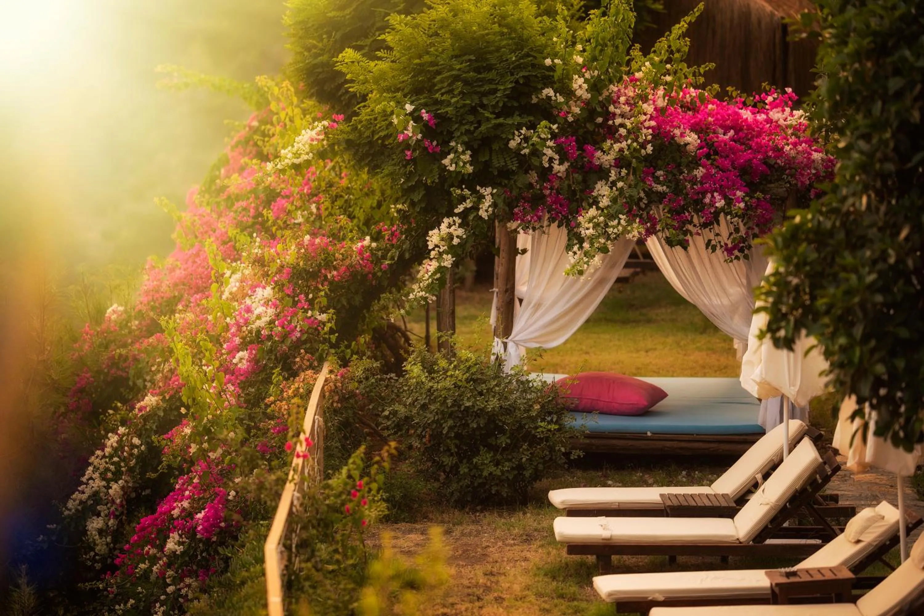 Spring in Lissiya Hotel