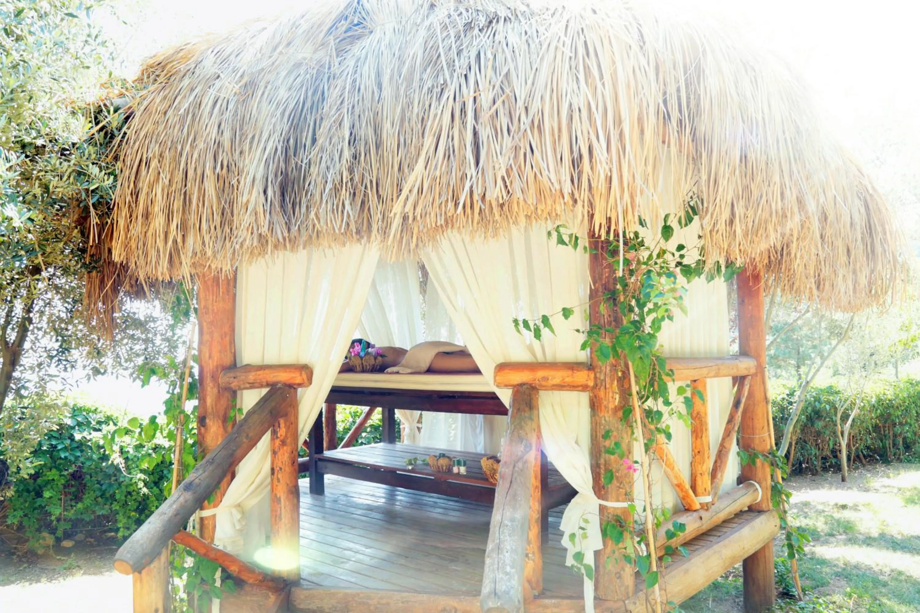 Garden in Lissiya Hotel