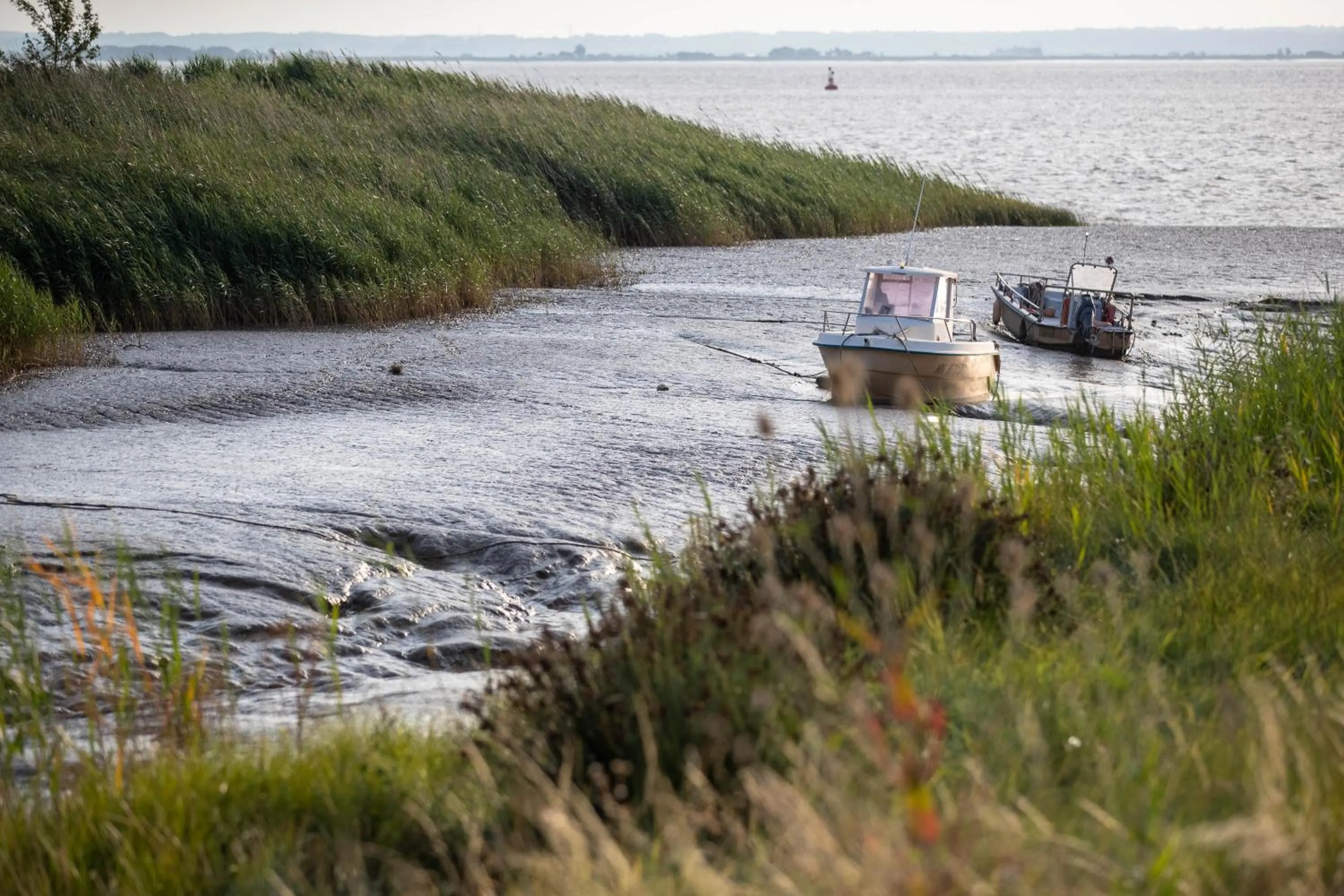 La Maison d'Estournel