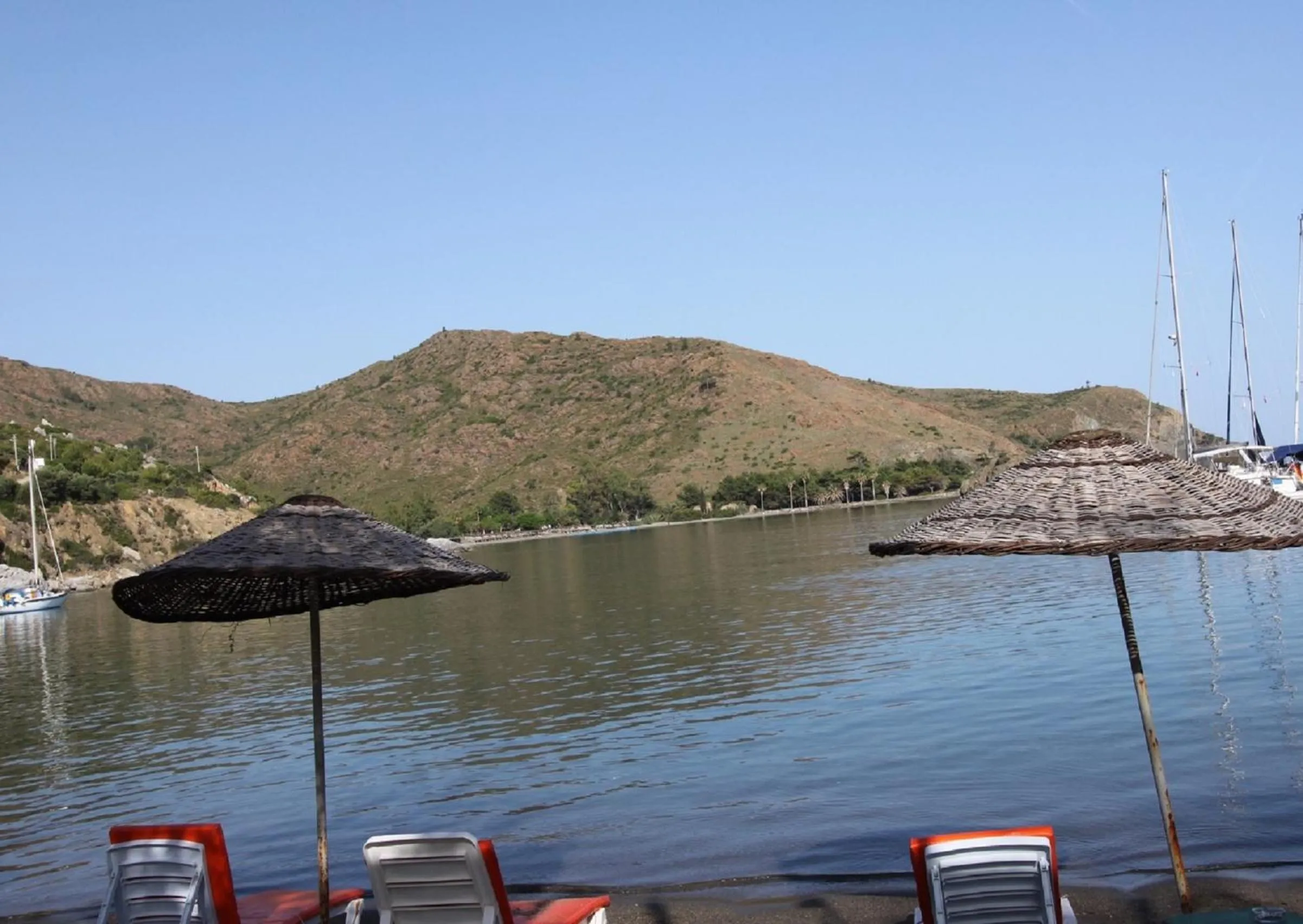 Activities in Elly's Home