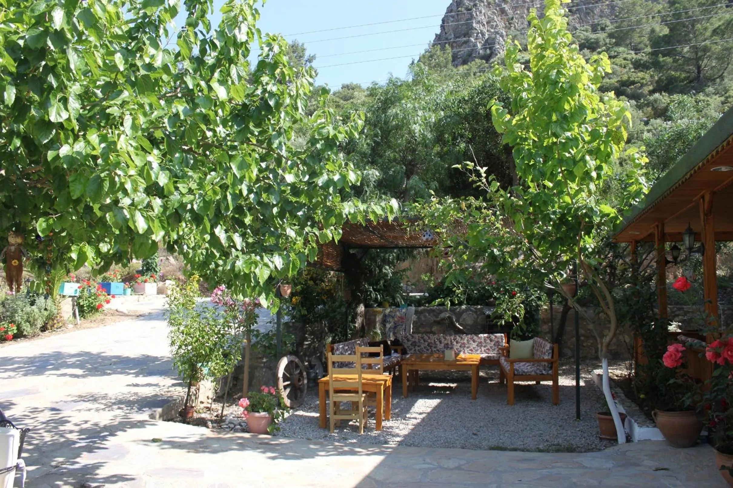 Garden in Elly's Home