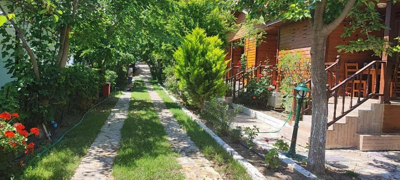 Garden in Elly's Home