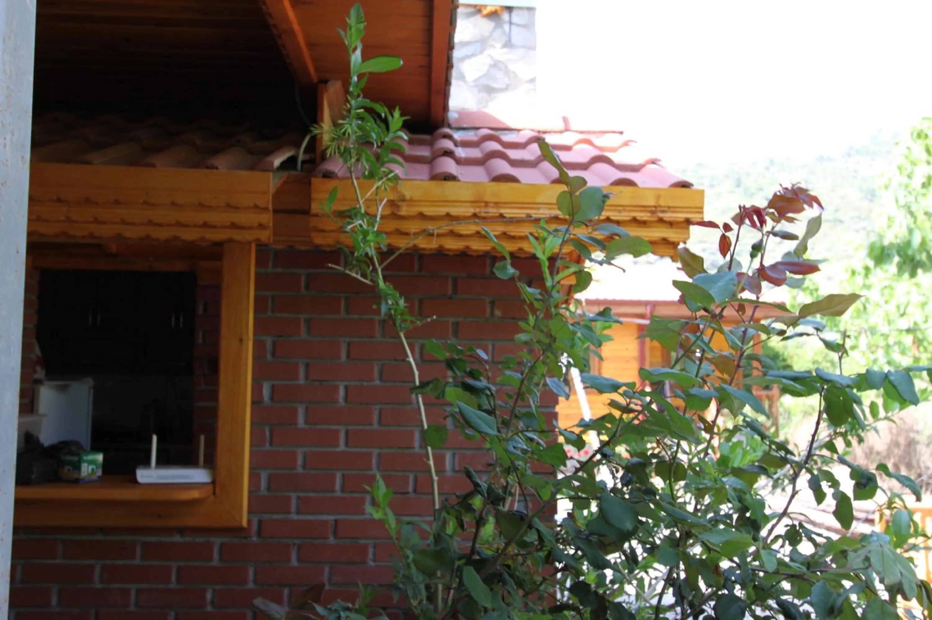 Property building in Elly's Home