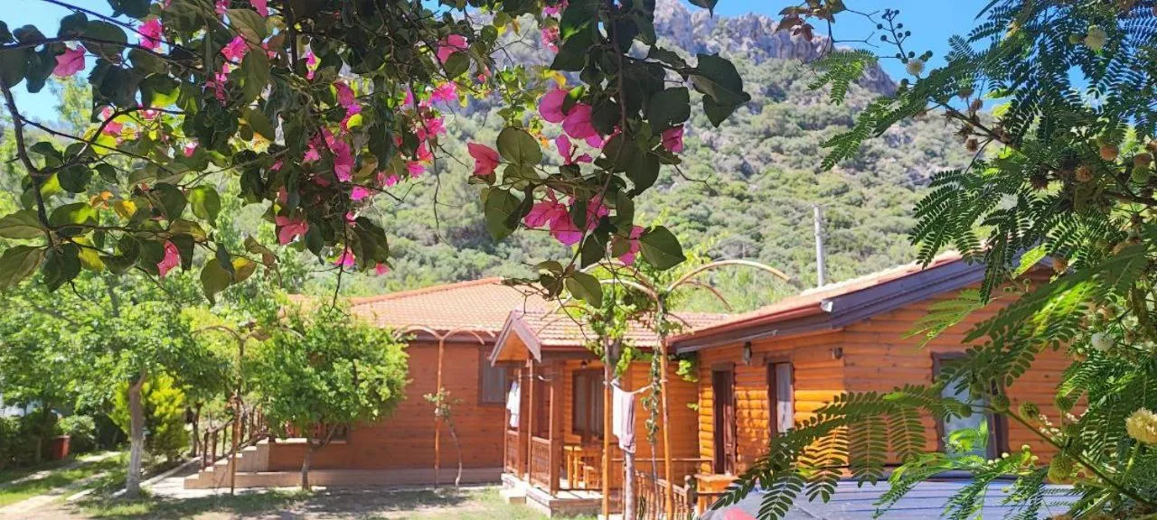 Natural landscape in Elly's Home