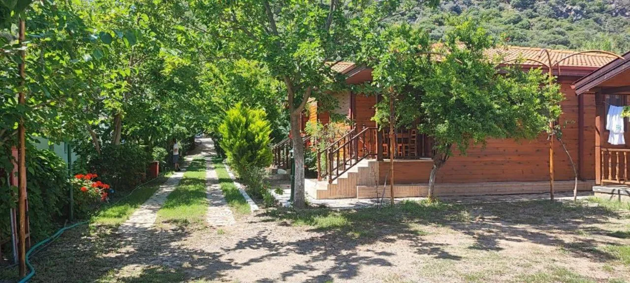 Garden in Elly's Home