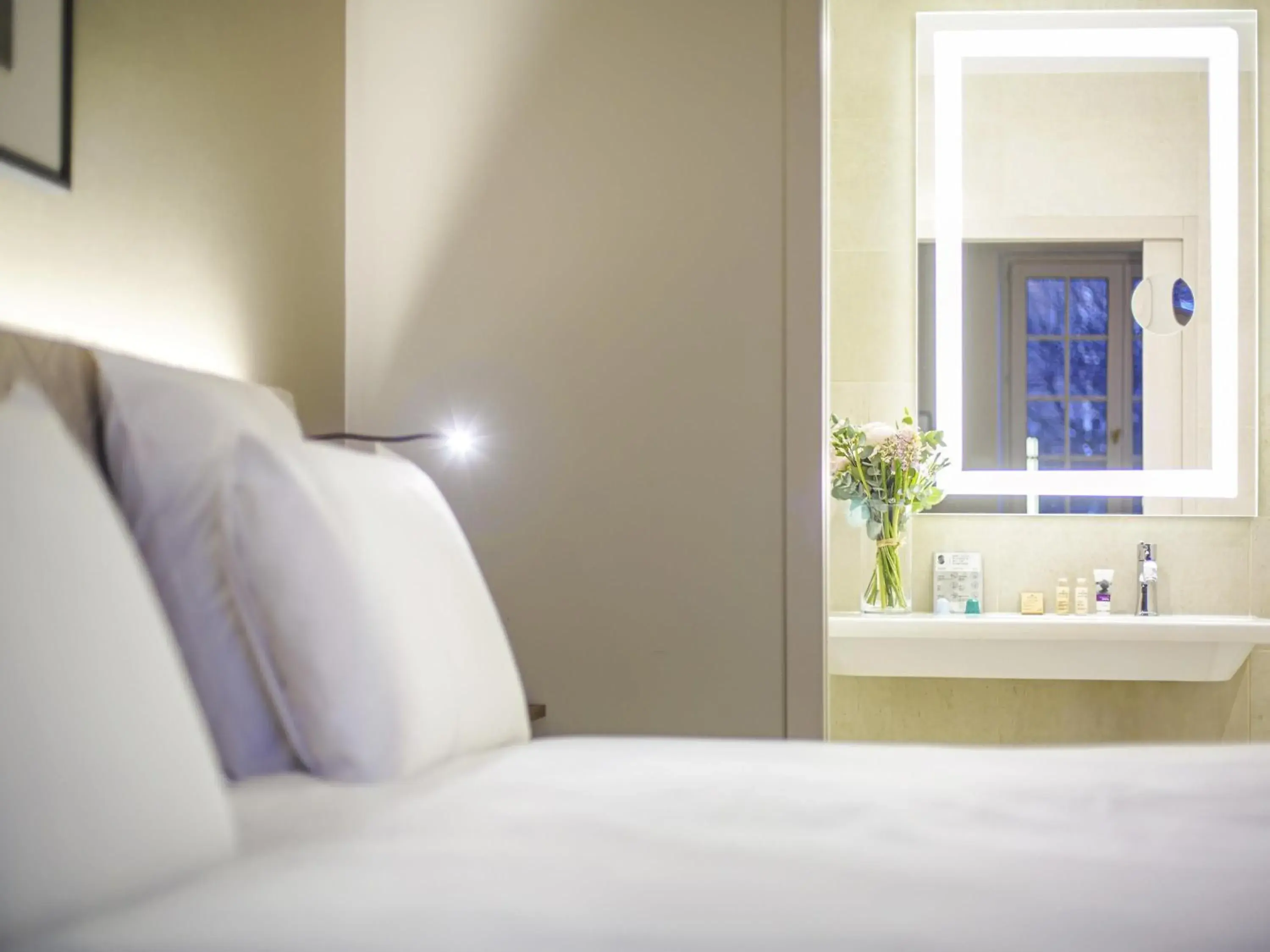 Single Room in Mercure Rennes Centre Place Bretagne Single Room in Mercure Rennes Centre Place Bretagne