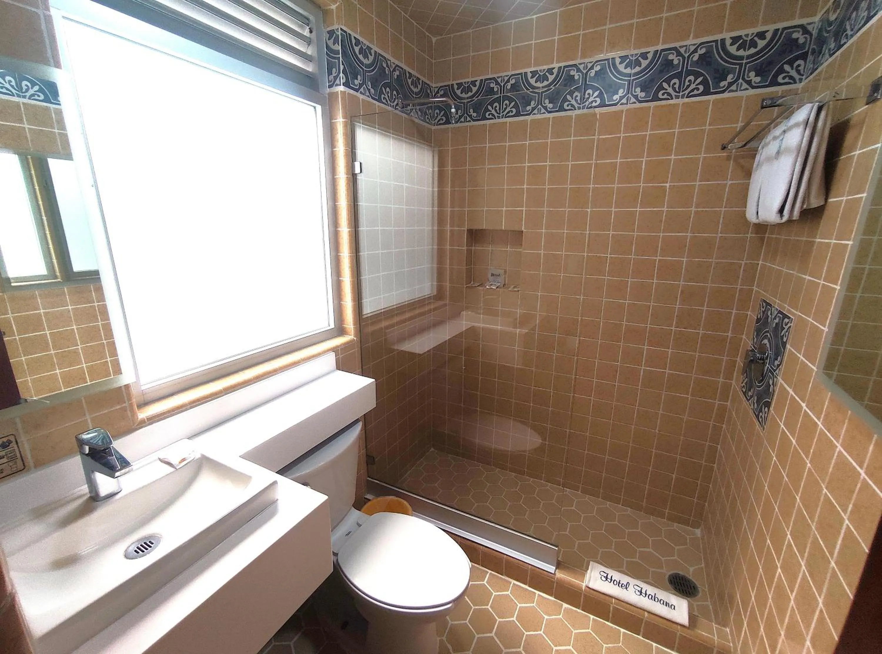 Shower in Hotel Habana