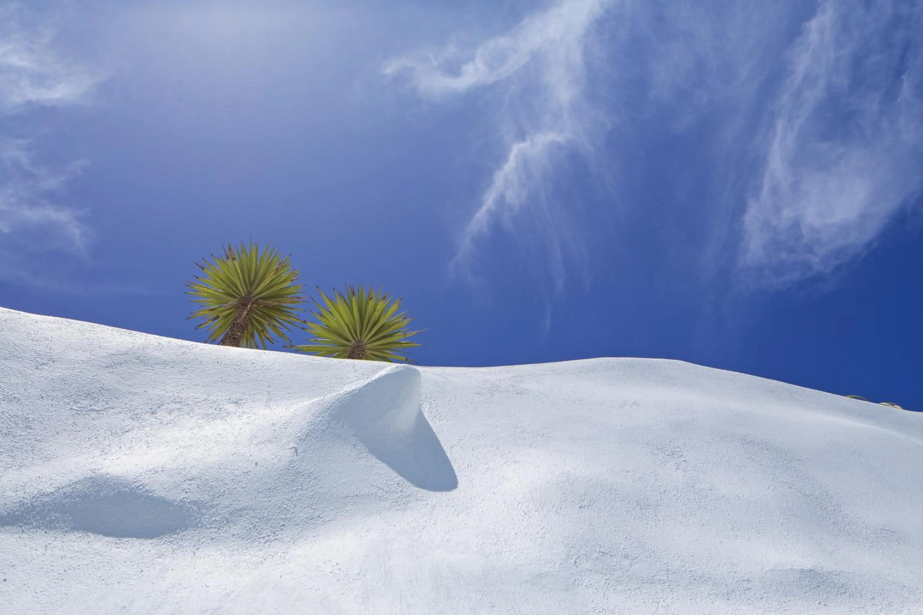 Natural landscape in Alta Vista Suites