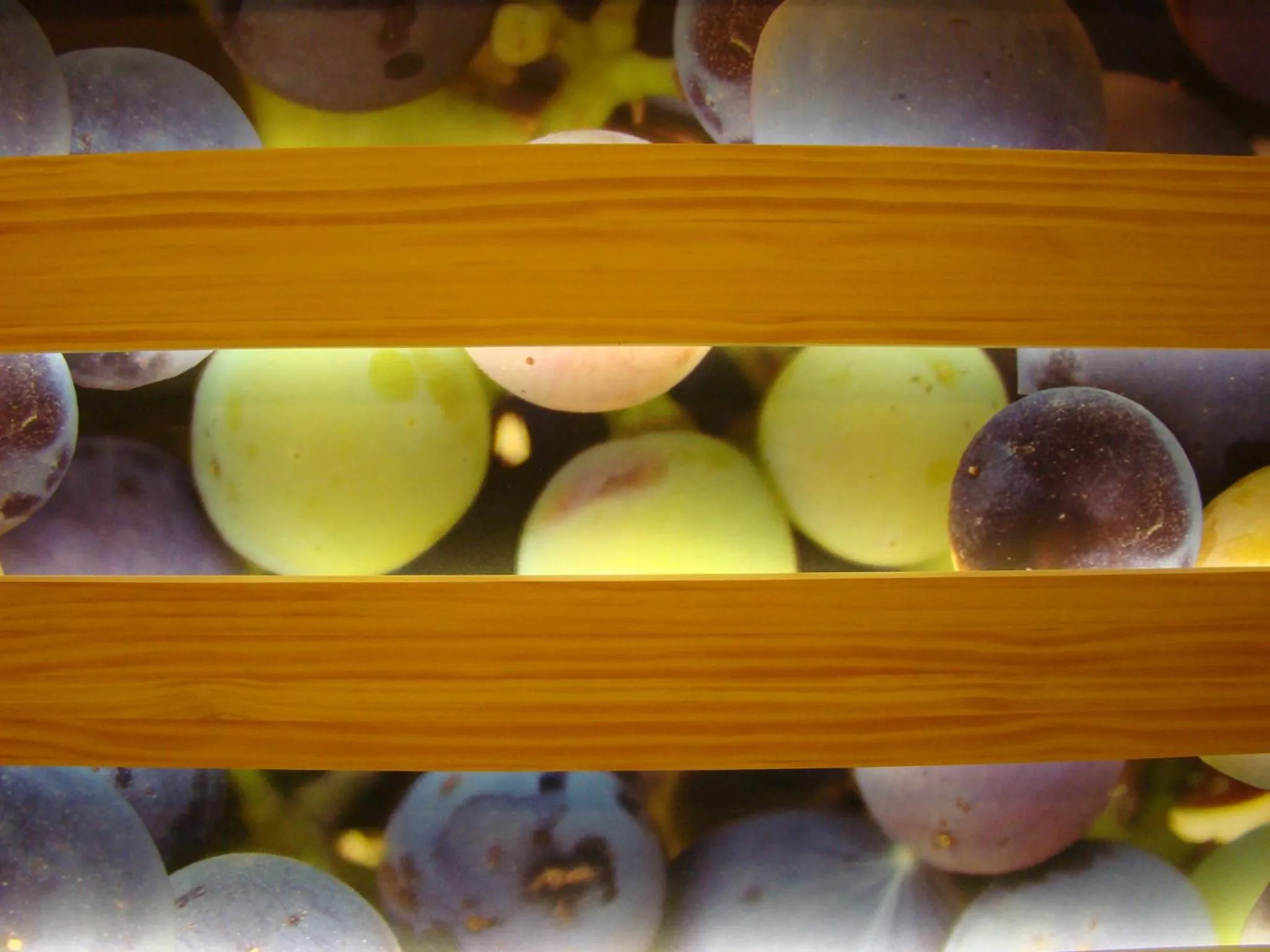 Other in Hotel Forum Evolución