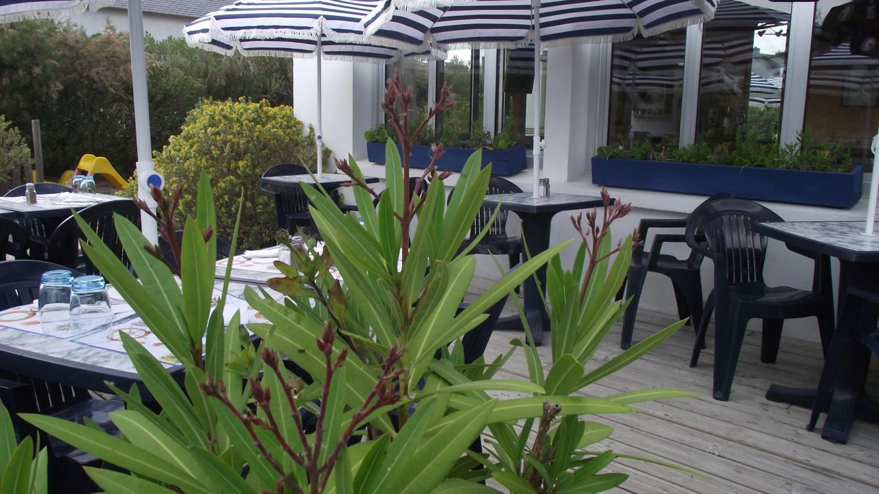 Patio in Hôtel du Petit Matelot