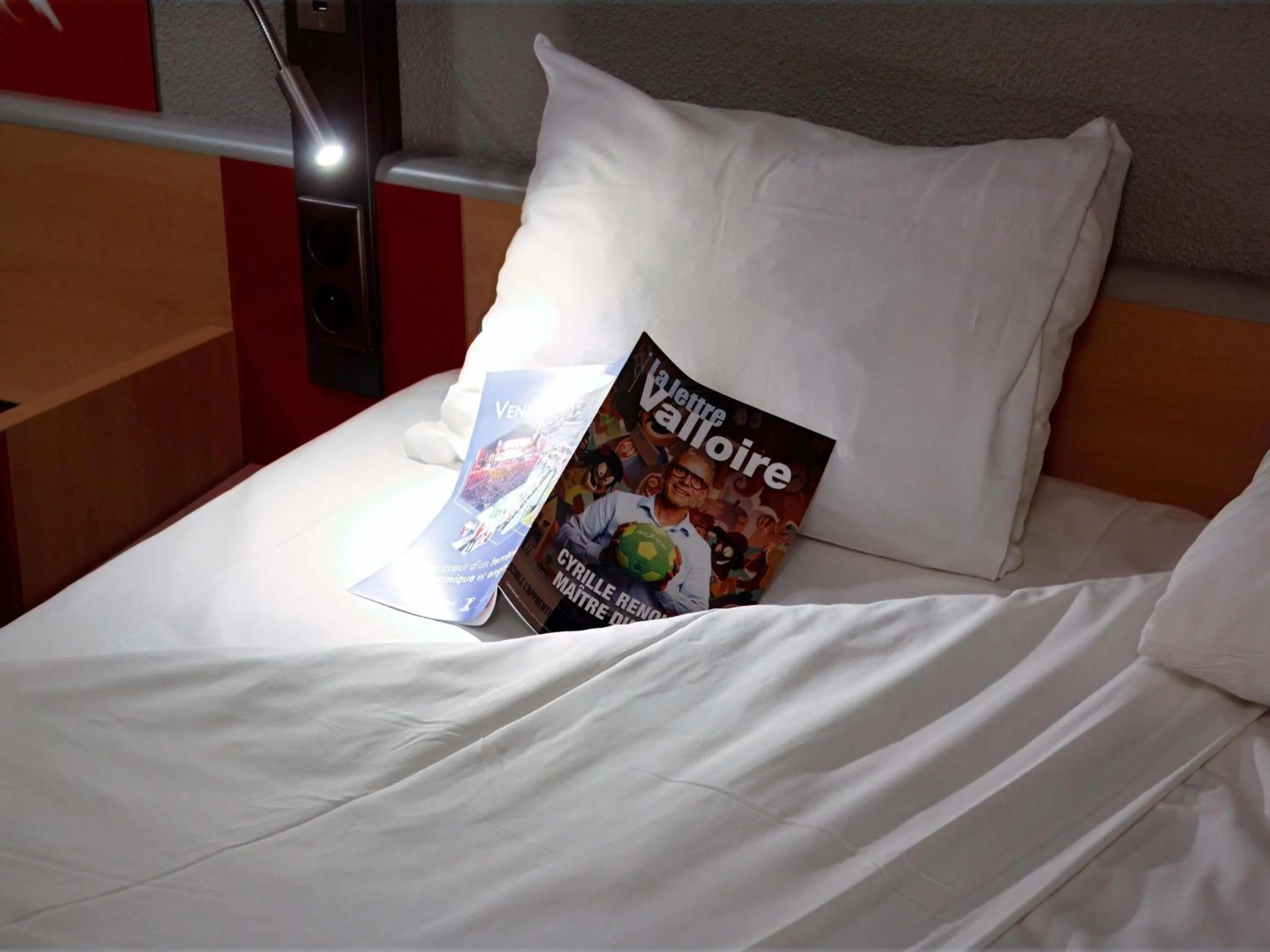 Bedroom, Bed in ibis Amboise