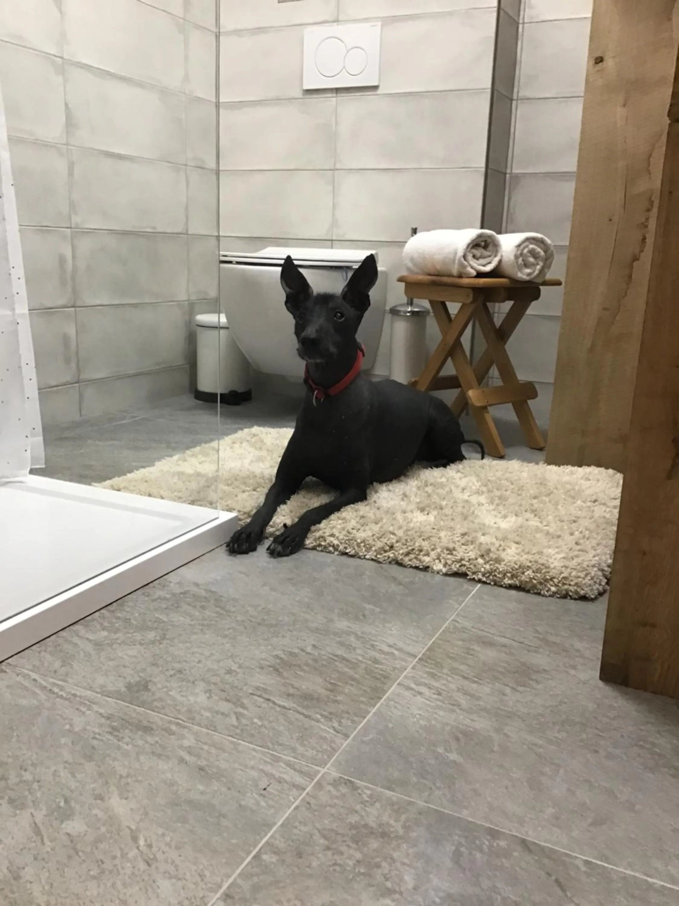 Pets in Apartmány Sebastian