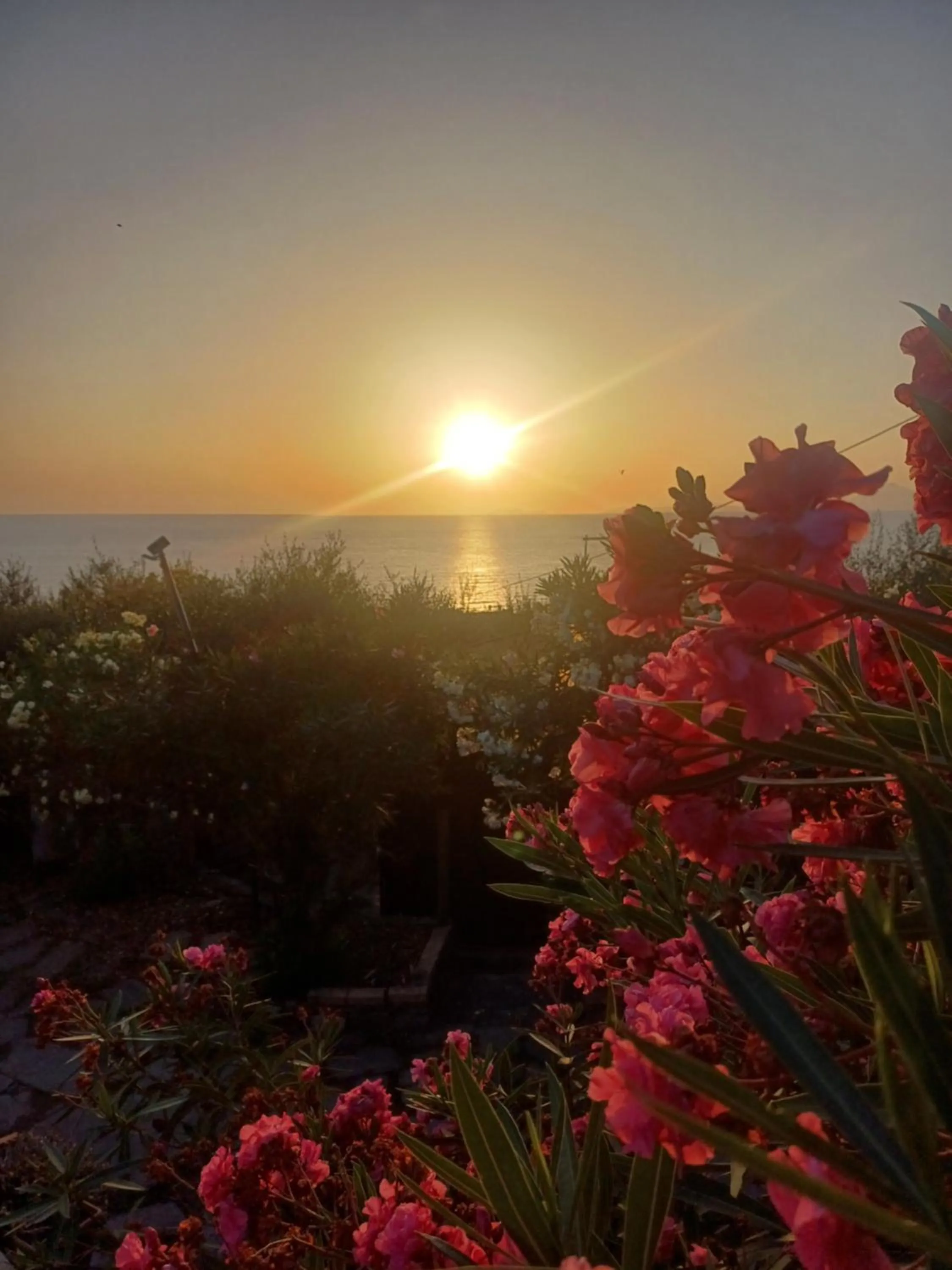 Natural landscape in Dimora Acqua del Fico