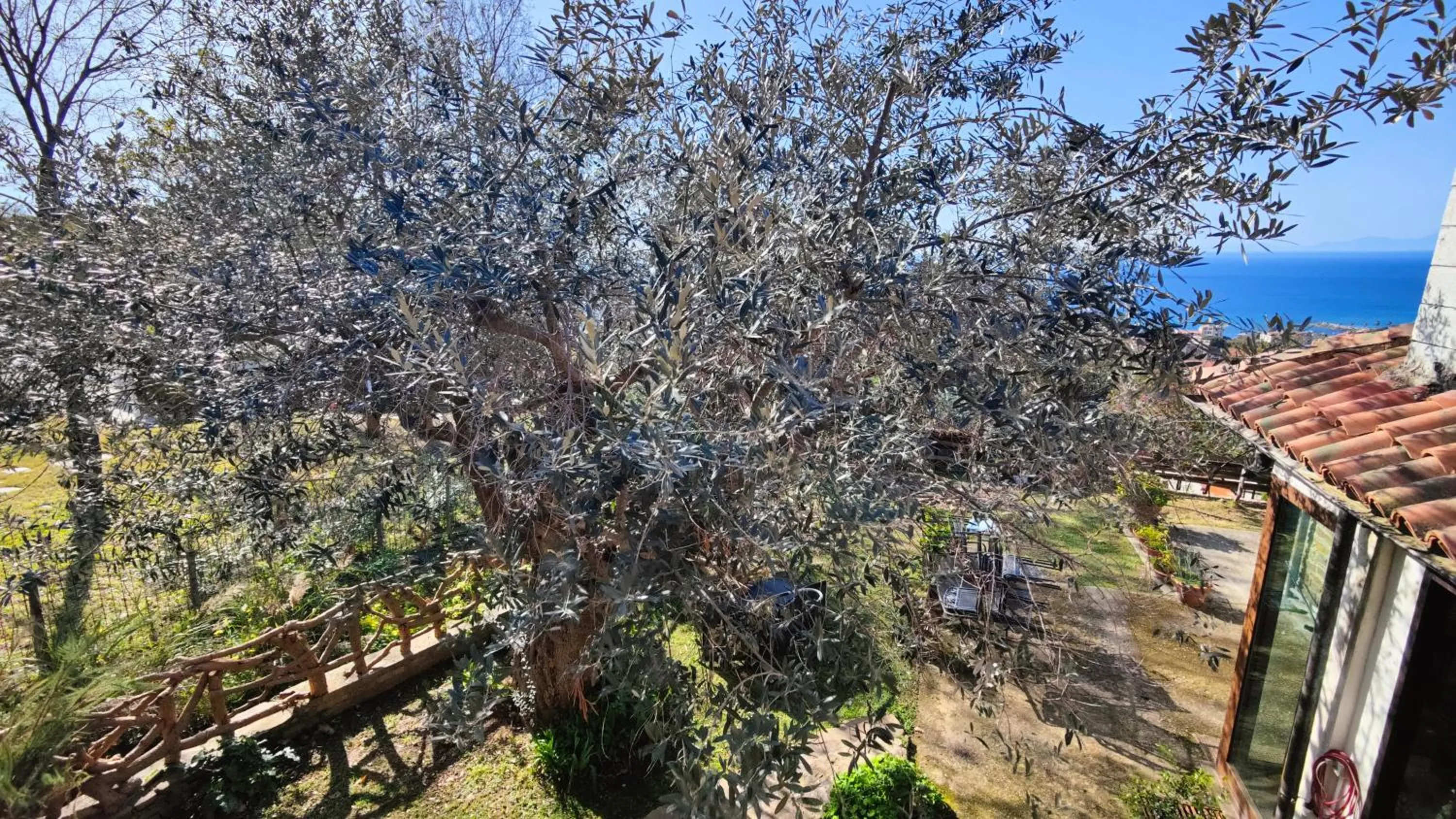 Day in Dimora Acqua del Fico