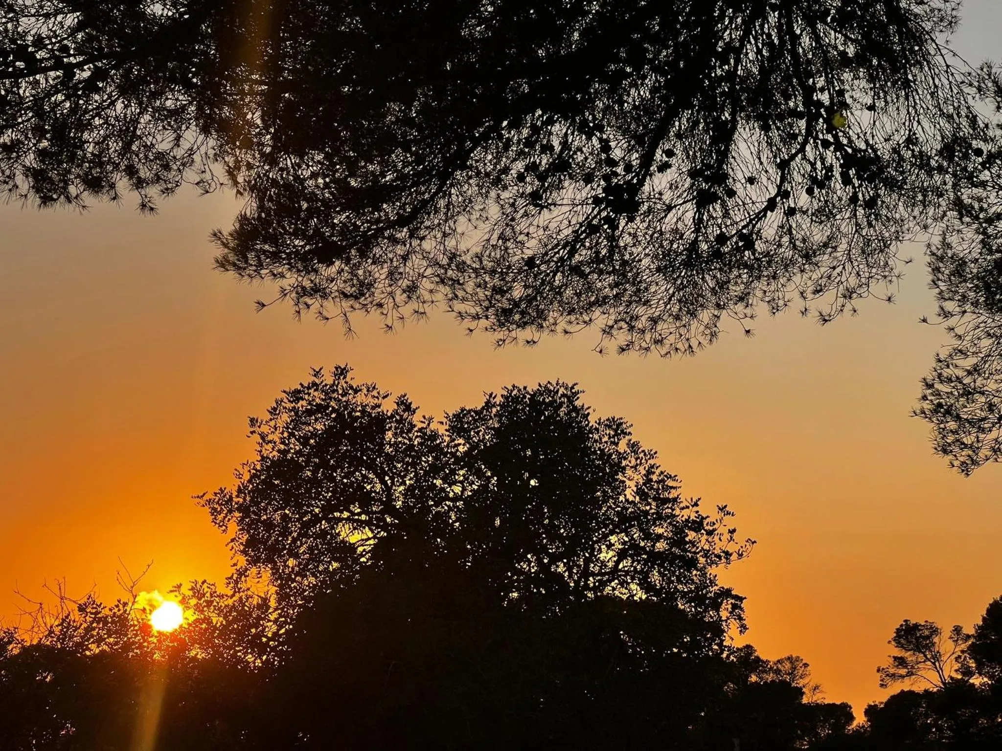 Natural landscape in Dimora Acqua del Fico