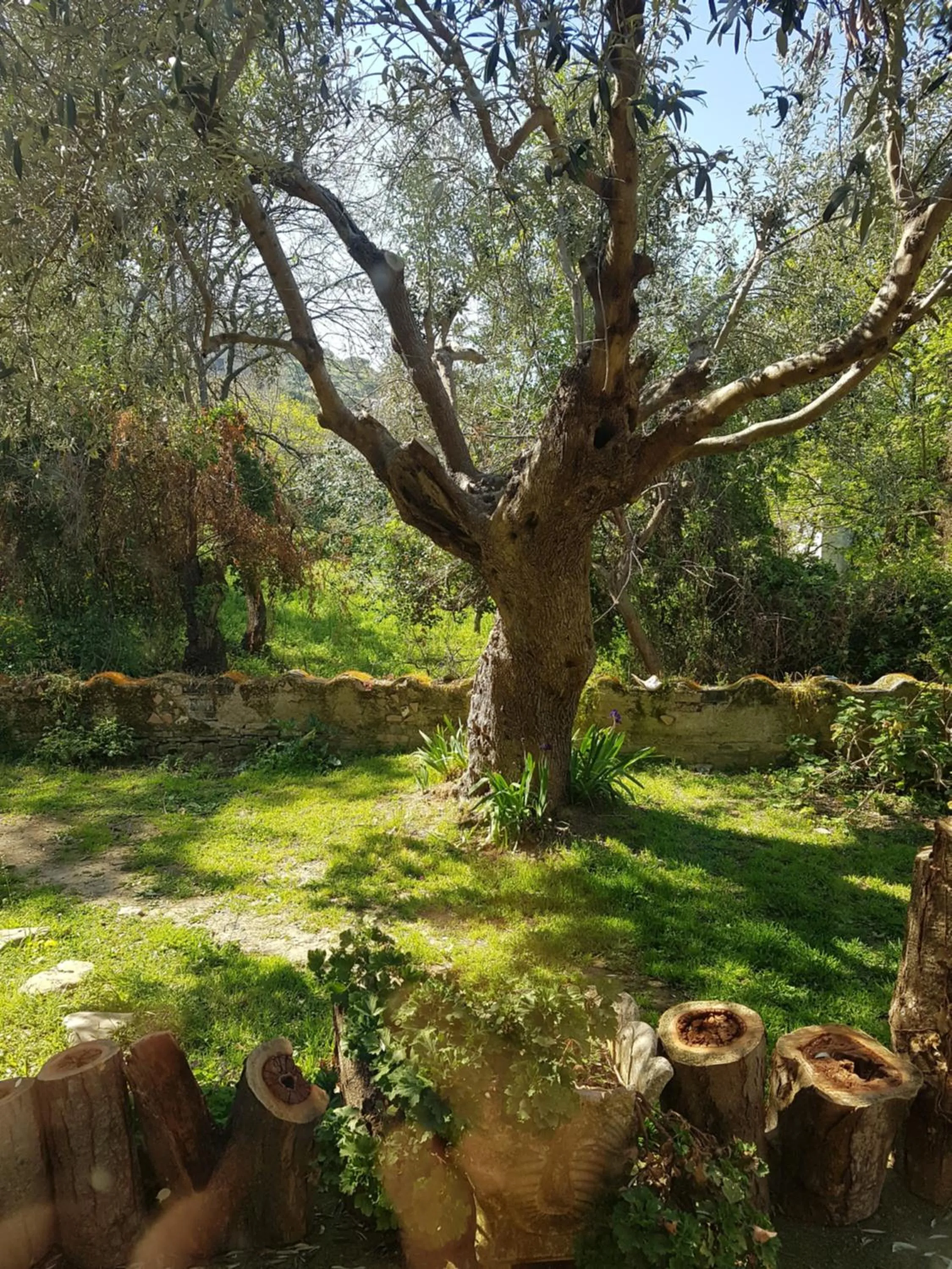 Garden in Dimora Acqua del Fico