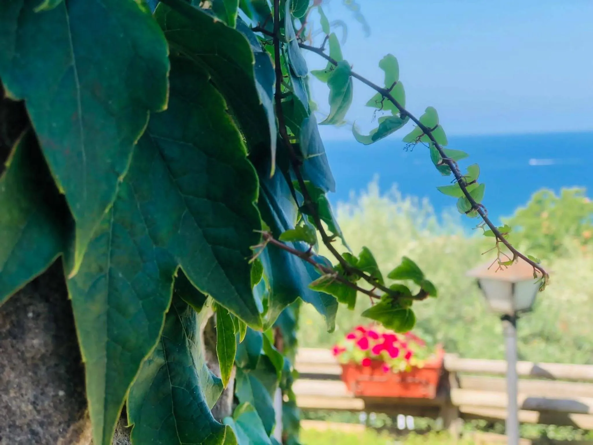 Natural landscape in Dimora Acqua del Fico