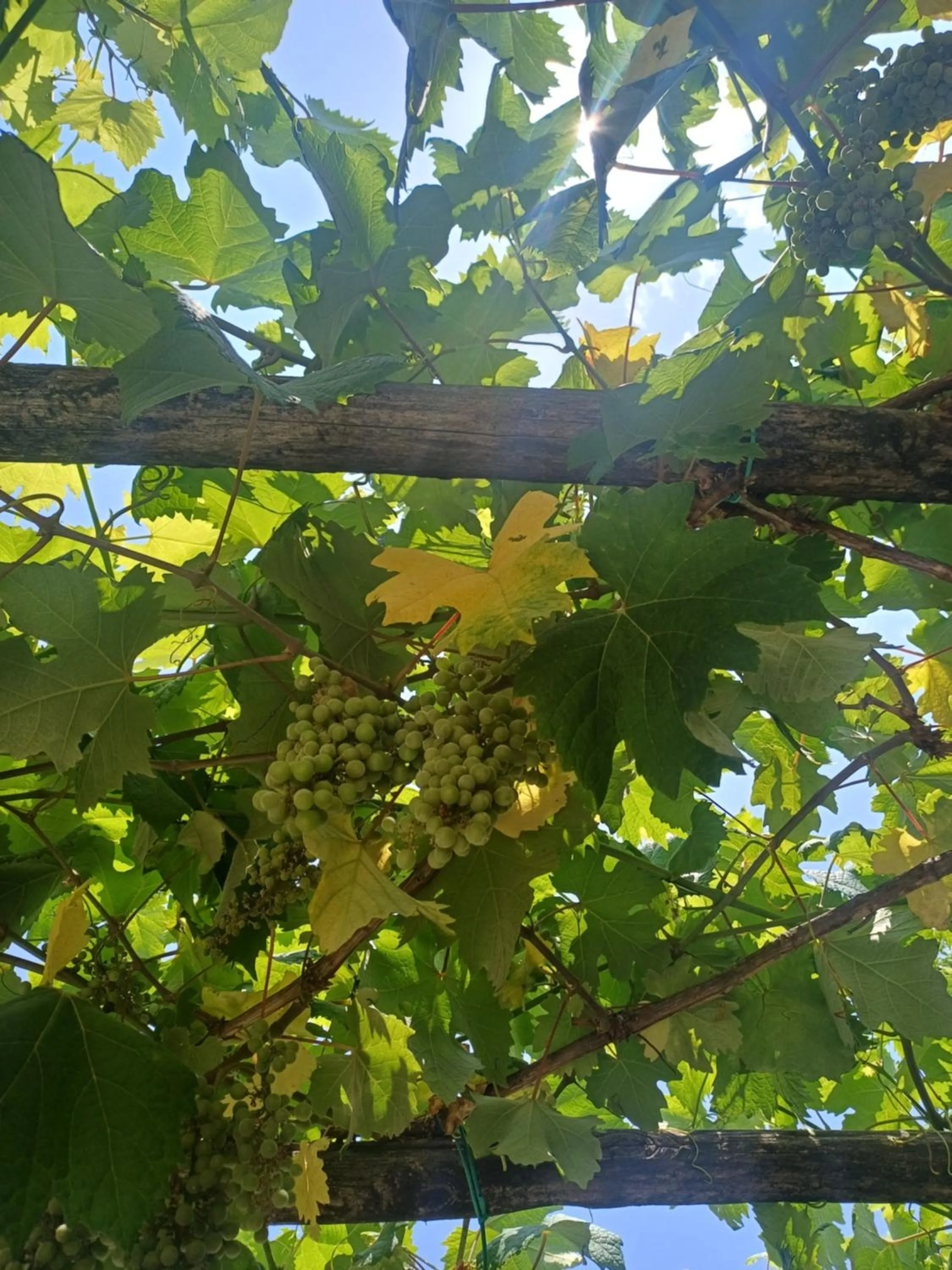 Natural landscape in Dimora Acqua del Fico