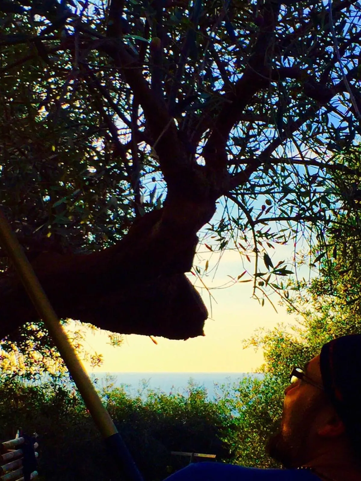 Garden in Dimora Acqua del Fico