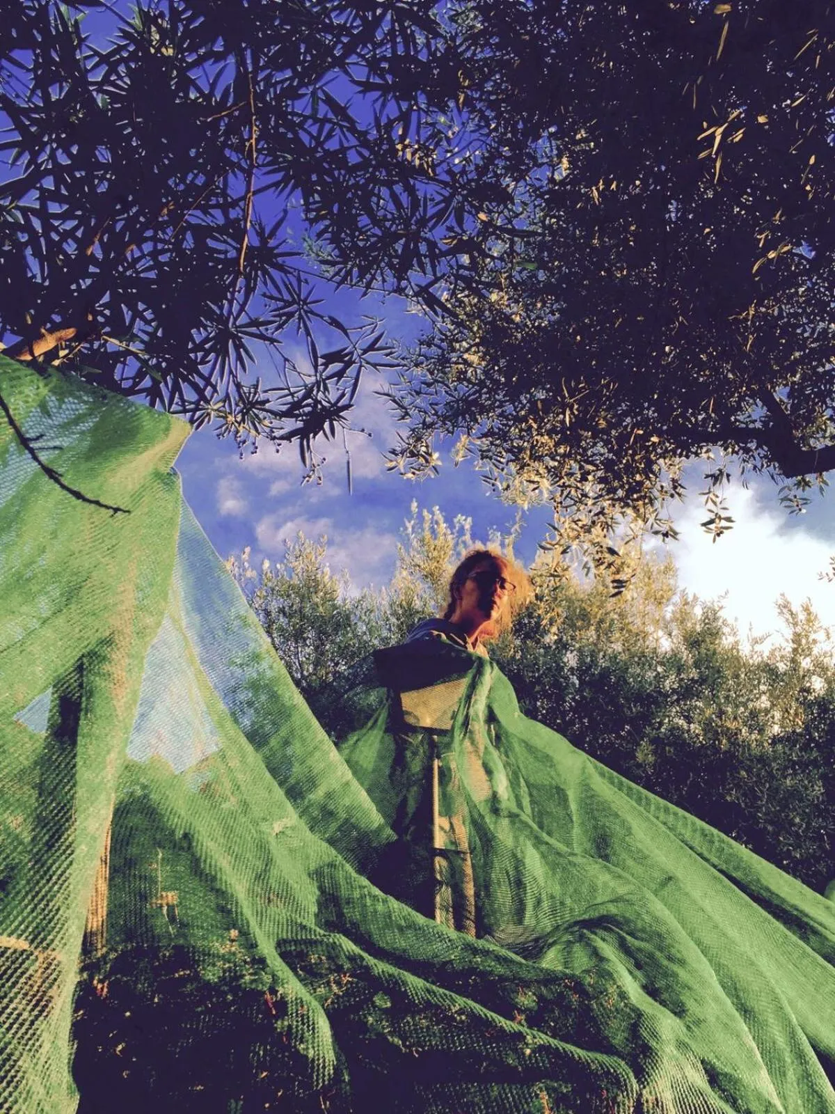 Natural landscape in Dimora Acqua del Fico