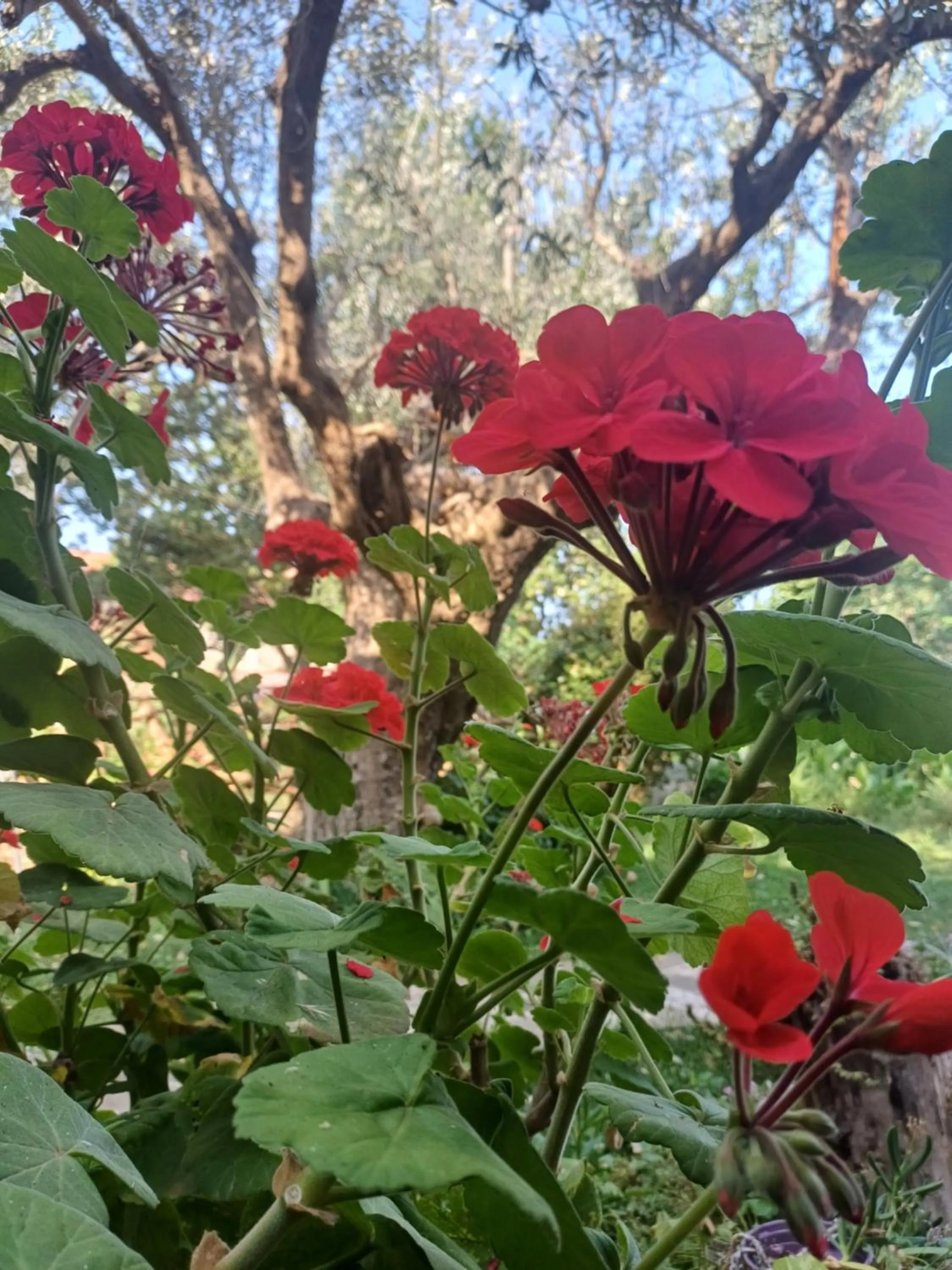 Spring in Dimora Acqua del Fico