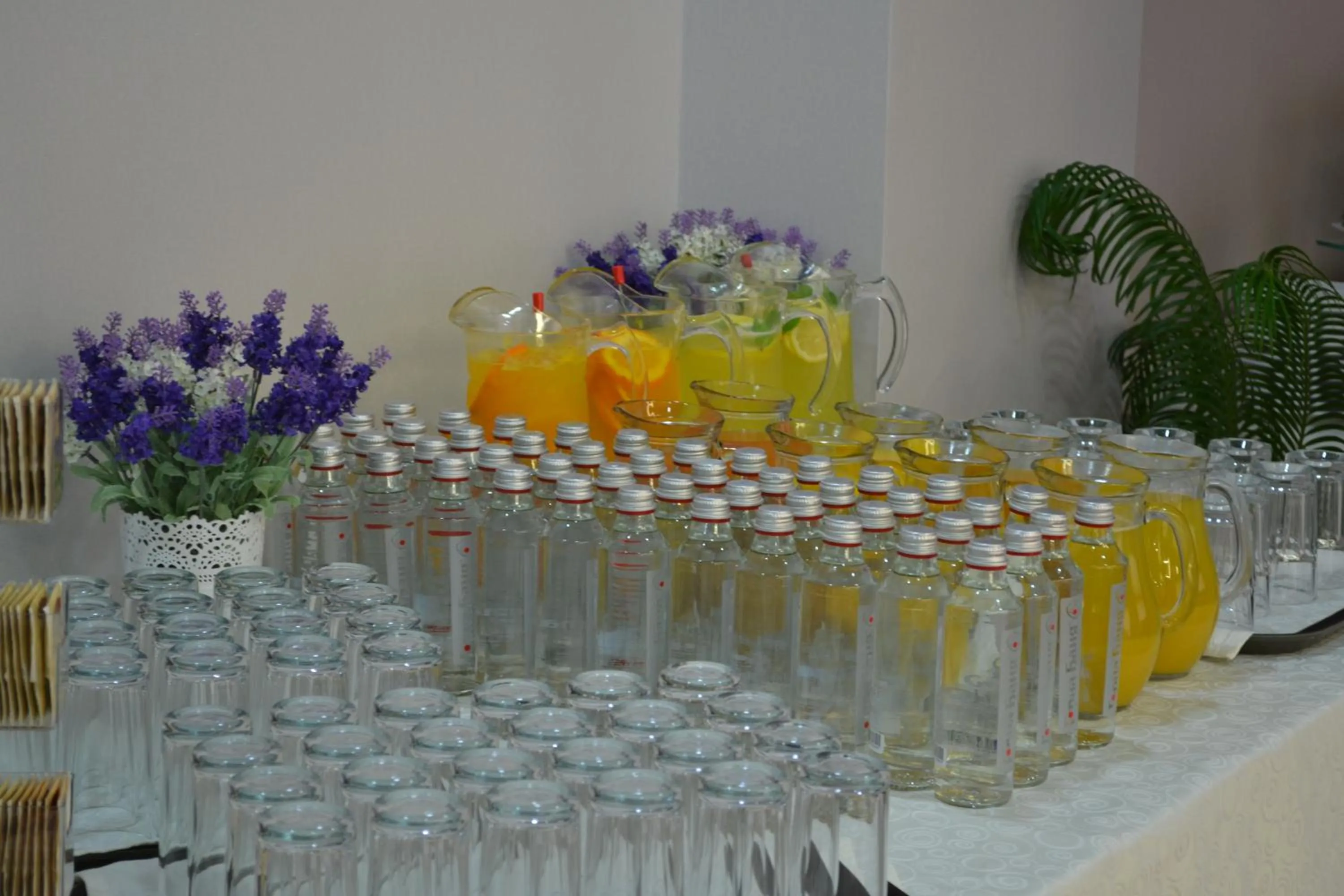 Entertainment in Hotel & SPA Diamant Residence - All Inclusive