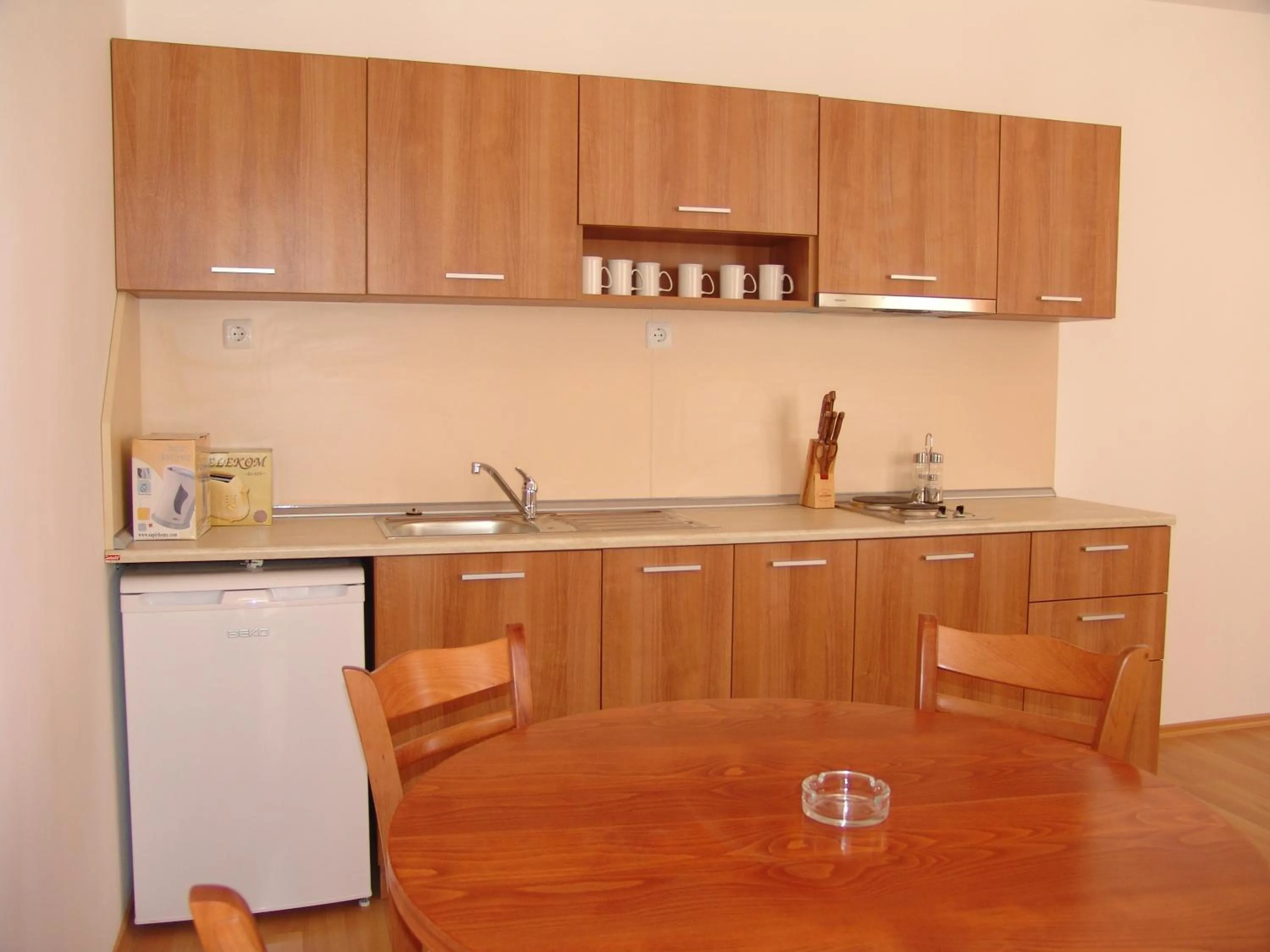 Kitchen or kitchenette in Apart Hotel Kasandra