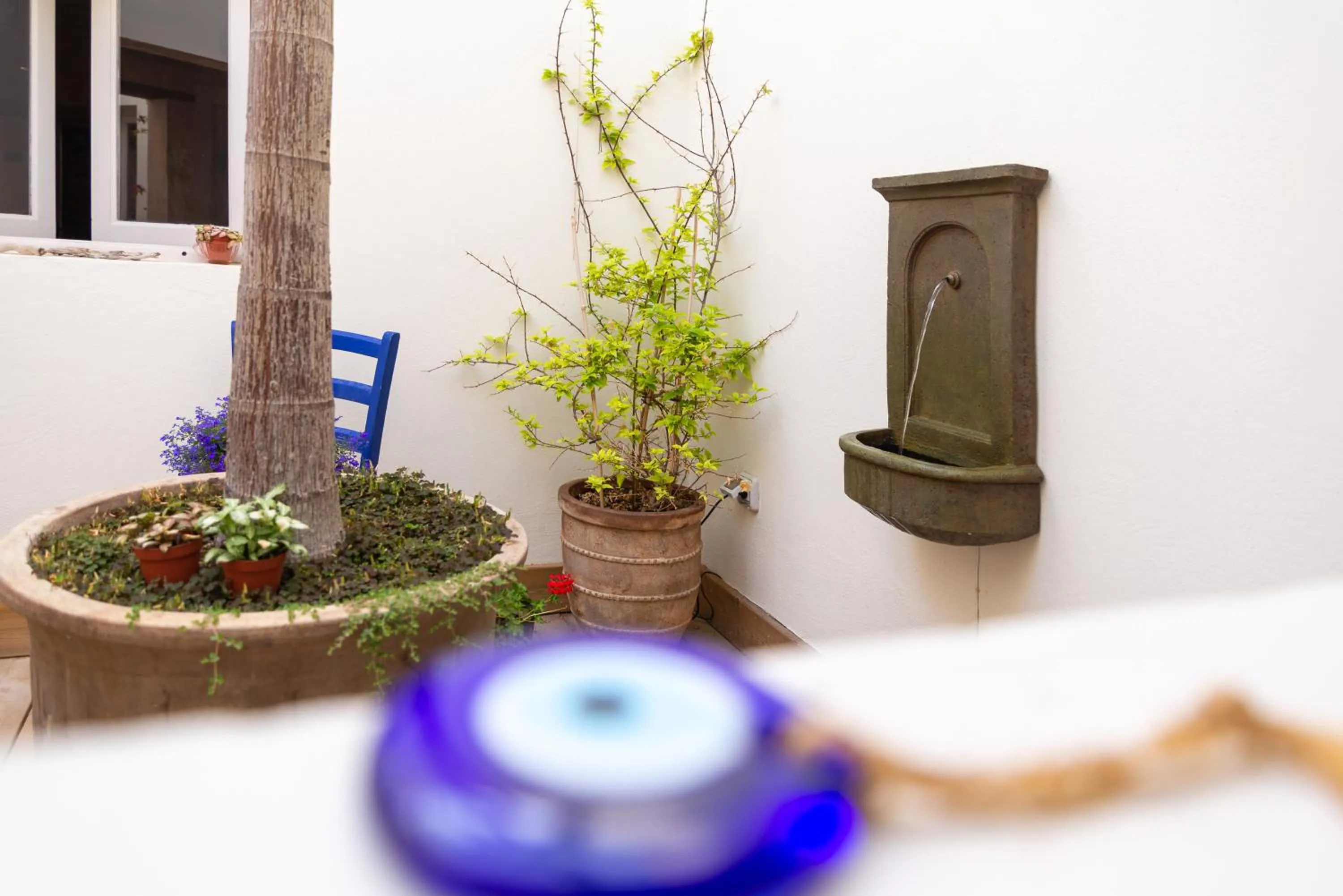 Patio in El Hotelito del Cotillo - Adults Only