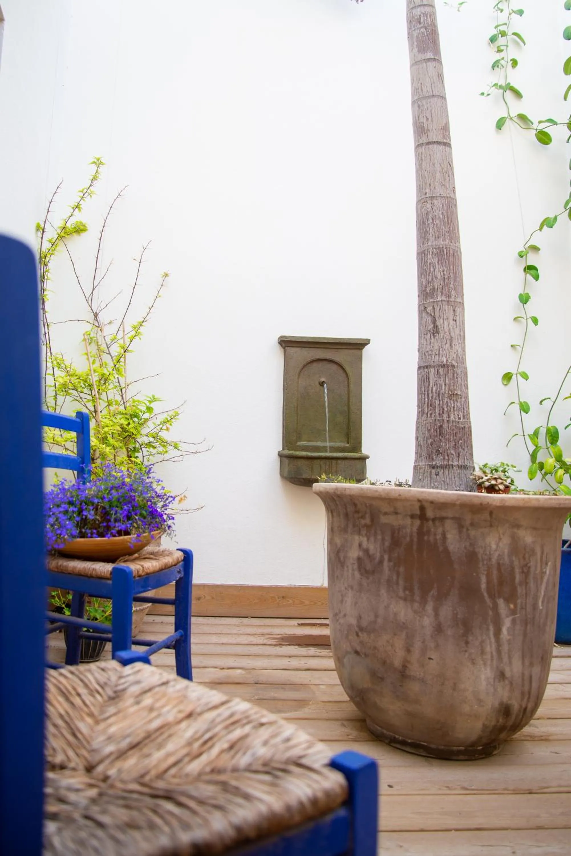 Patio in El Hotelito del Cotillo - Adults Only