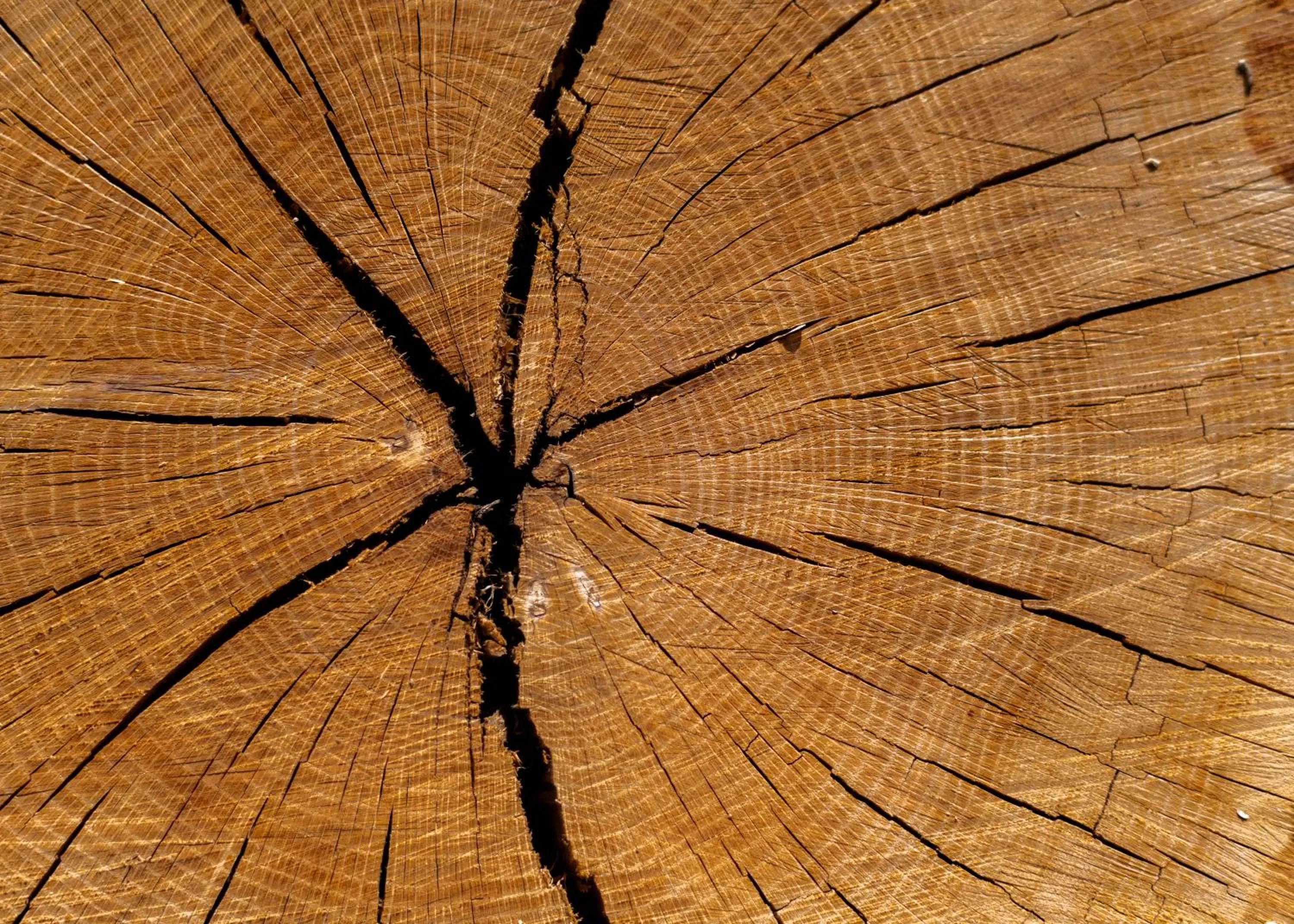 Decorative detail in Inn at Sugar Pine Ranch