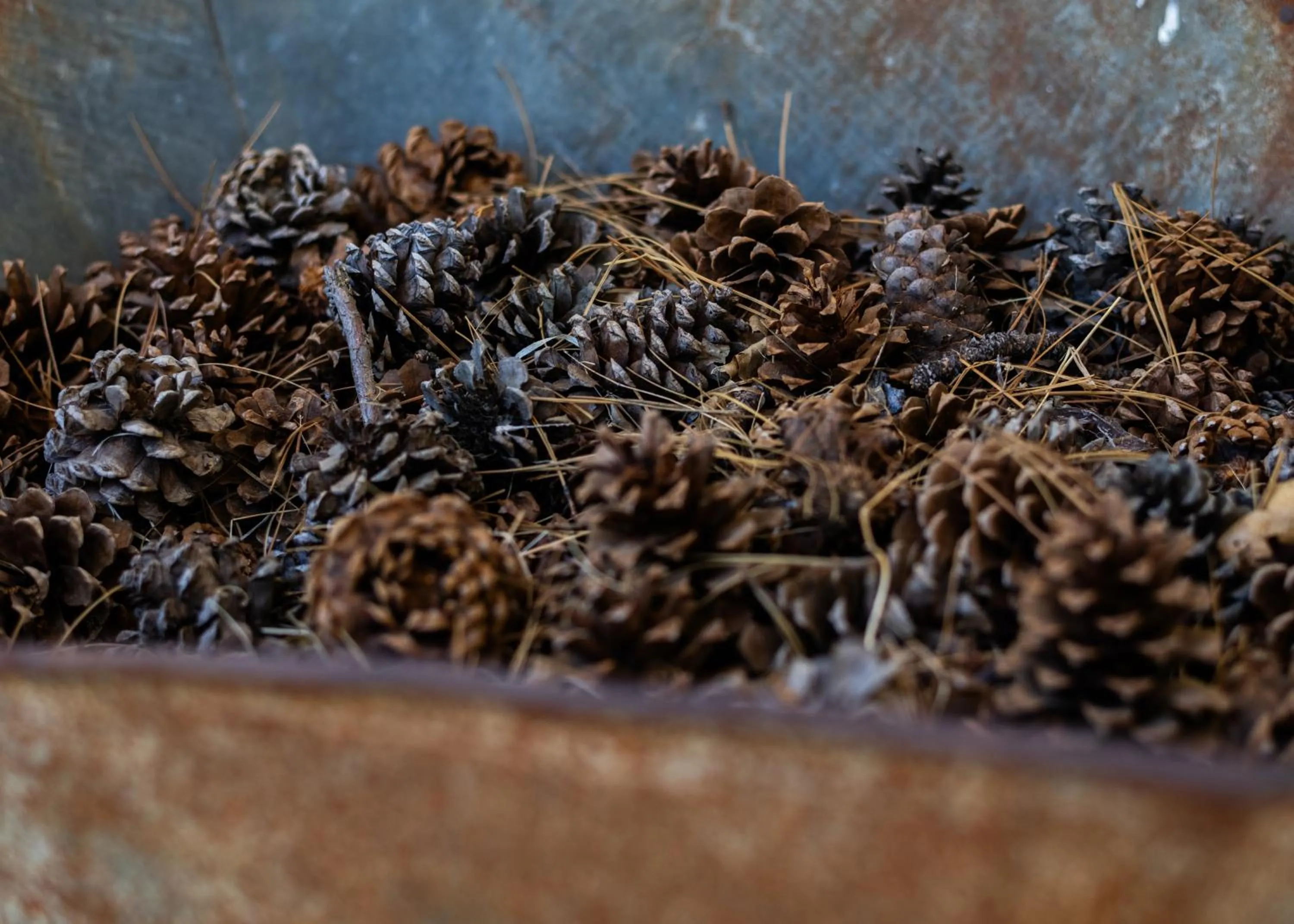 Decorative detail in Inn at Sugar Pine Ranch