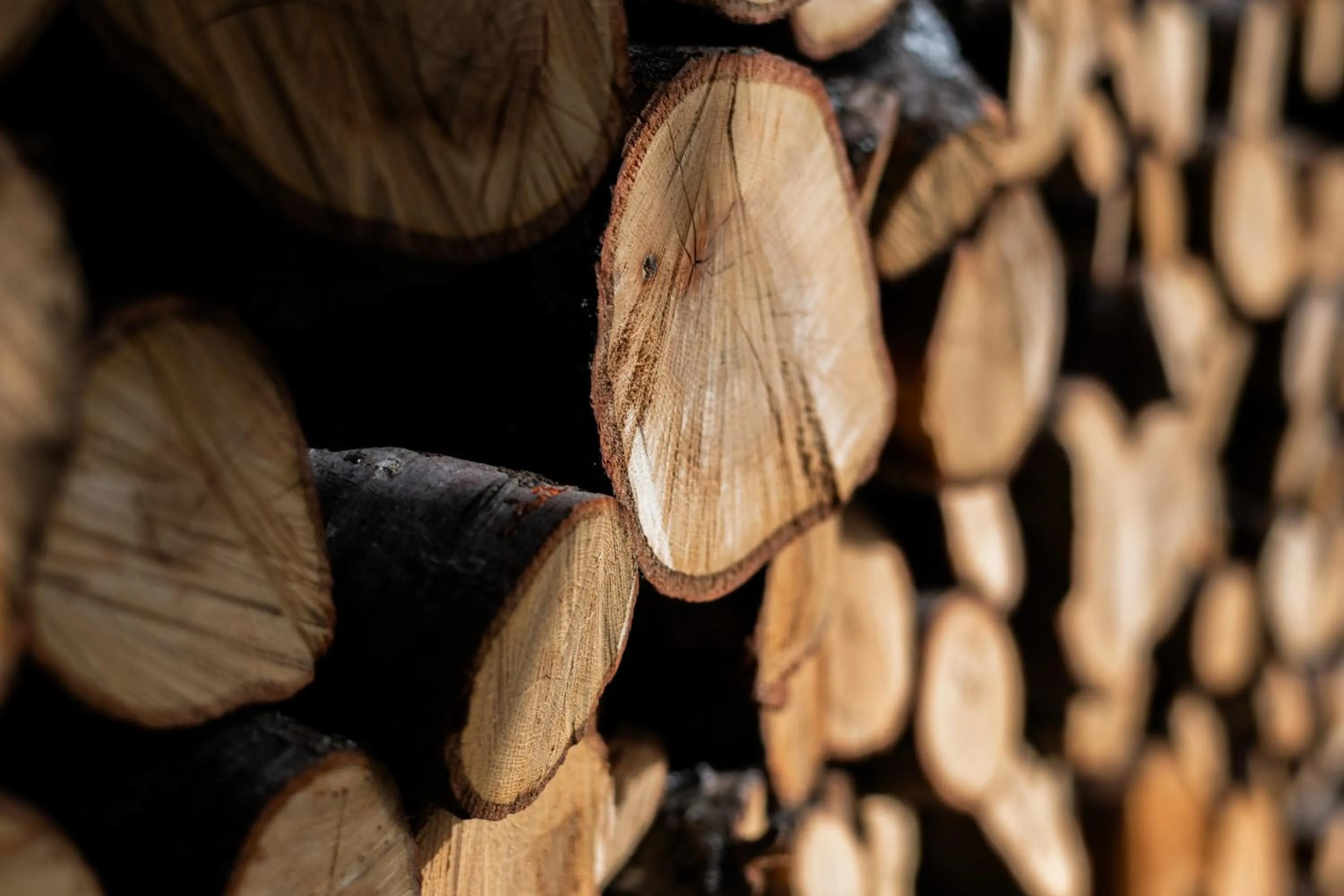 Decorative detail in Inn at Sugar Pine Ranch
