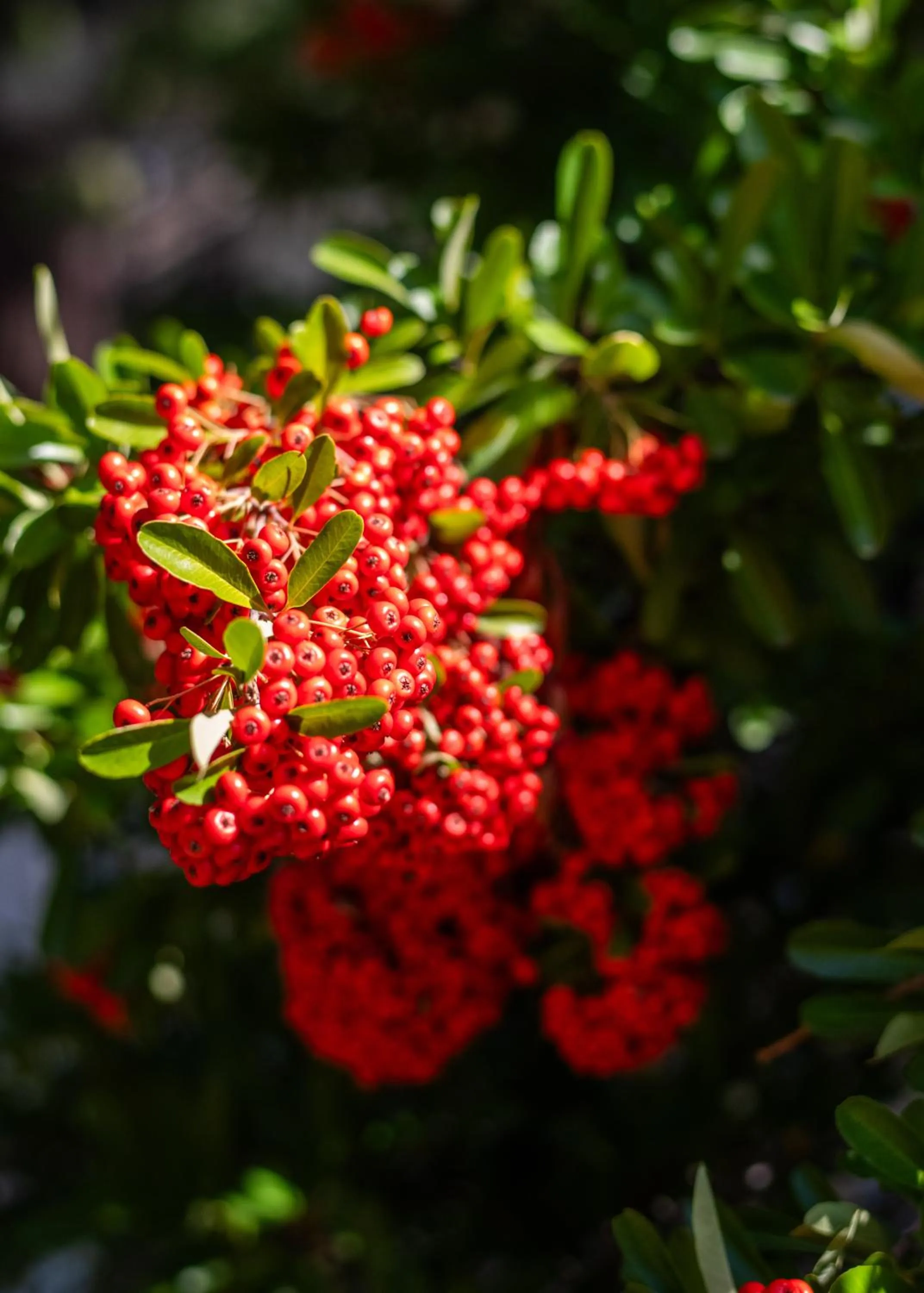 Decorative detail in Inn at Sugar Pine Ranch