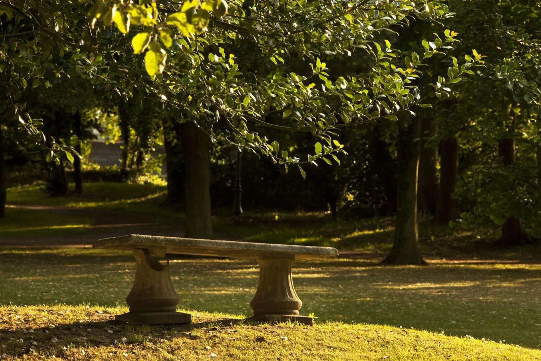 Garden in La Chartreuse Du Val Saint Esprit
