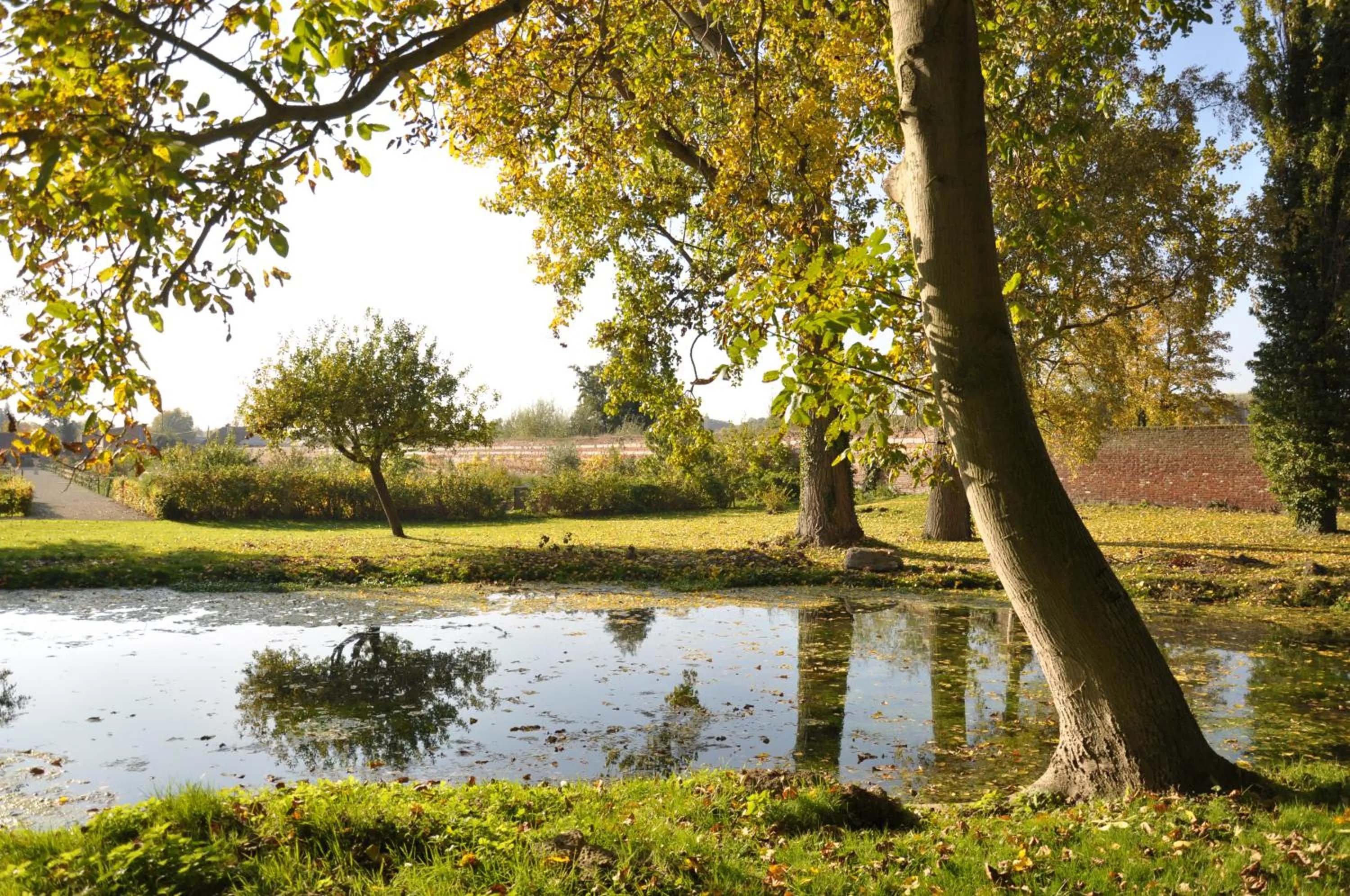 Natural landscape in La Chartreuse Du Val Saint Esprit