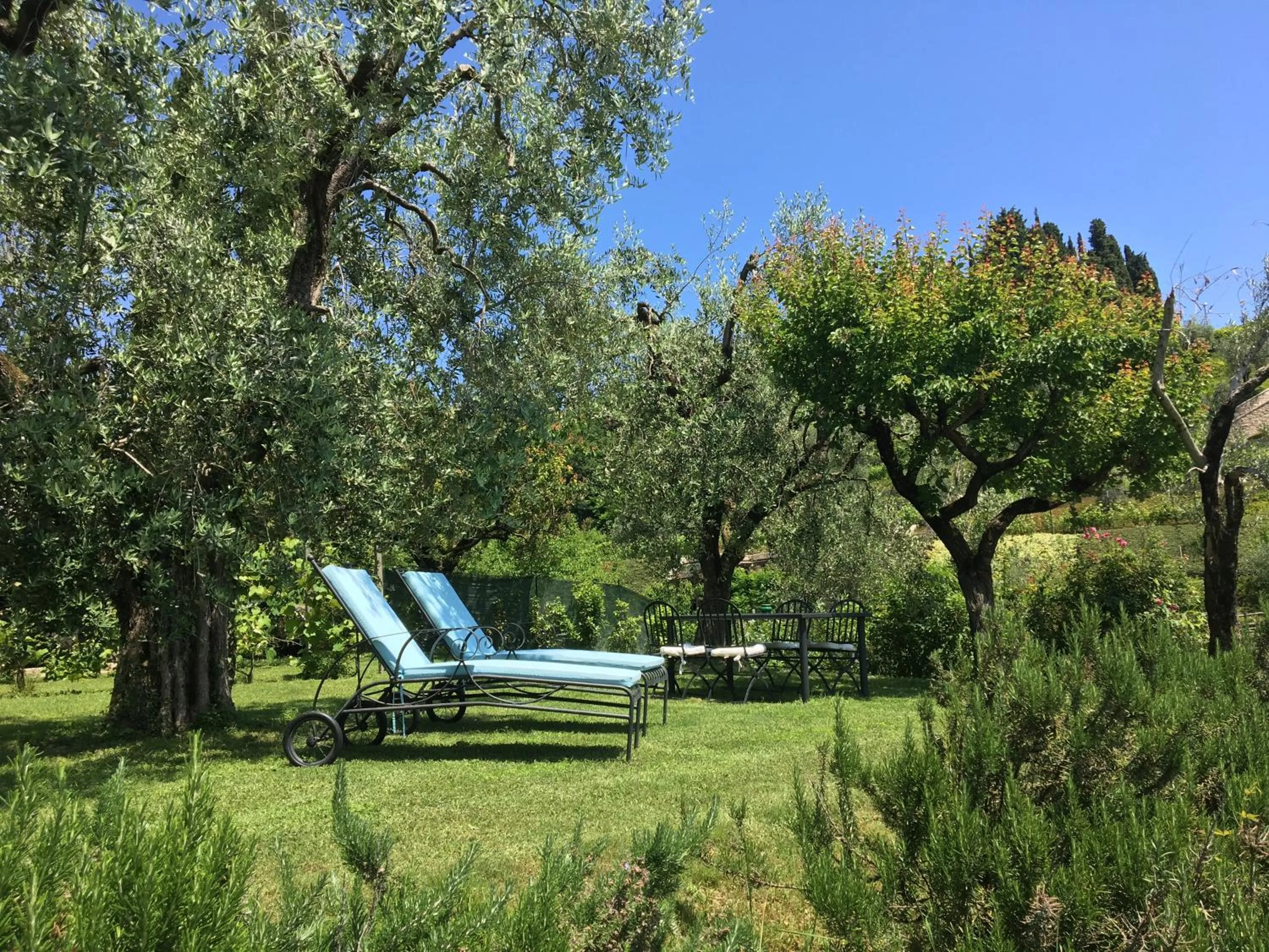 Garden in Il Chiostrino