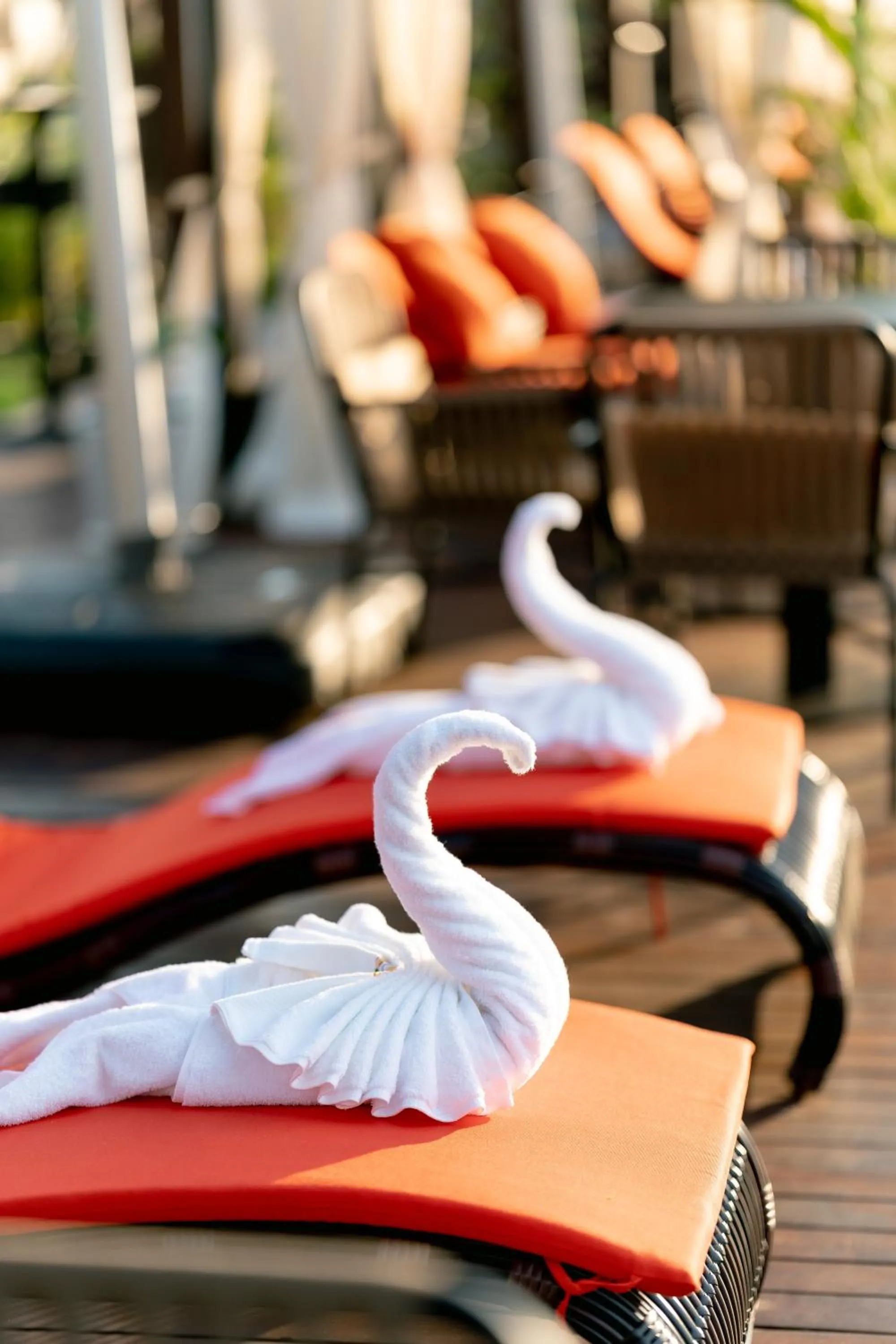 Pool view in 36Manor International Sport Hotel