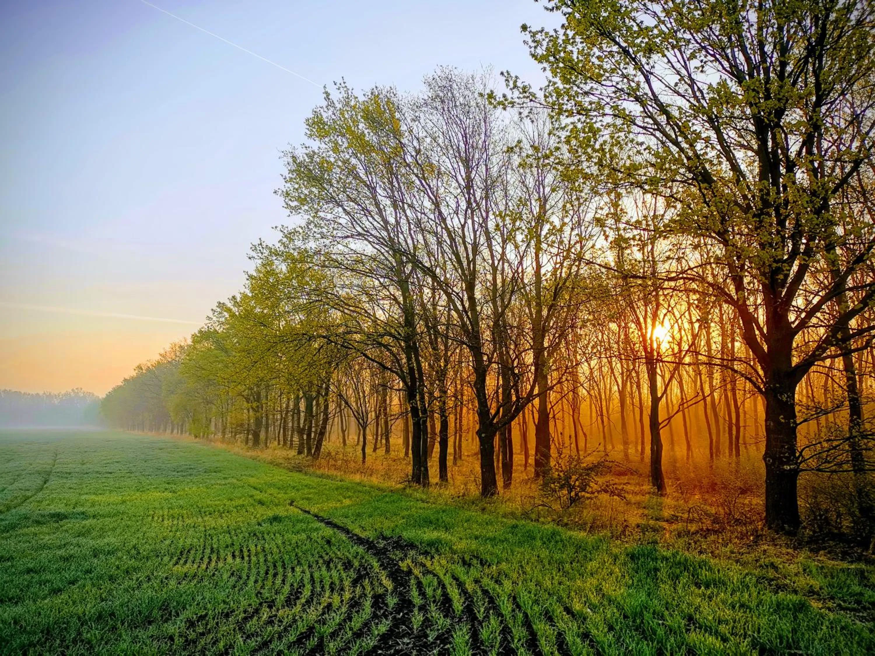 Natural landscape in Anna-Lak