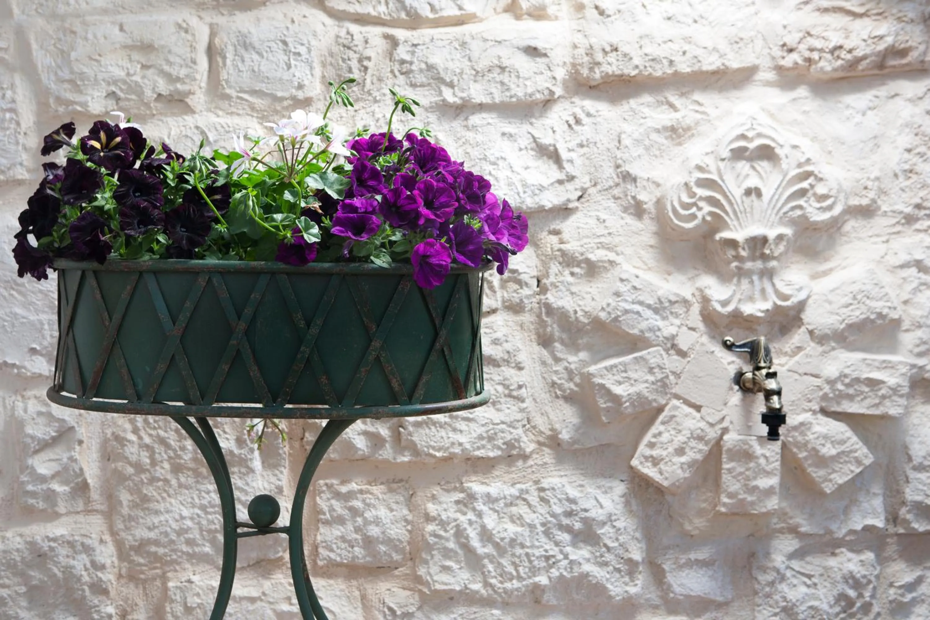 Garden in Pandora Villas