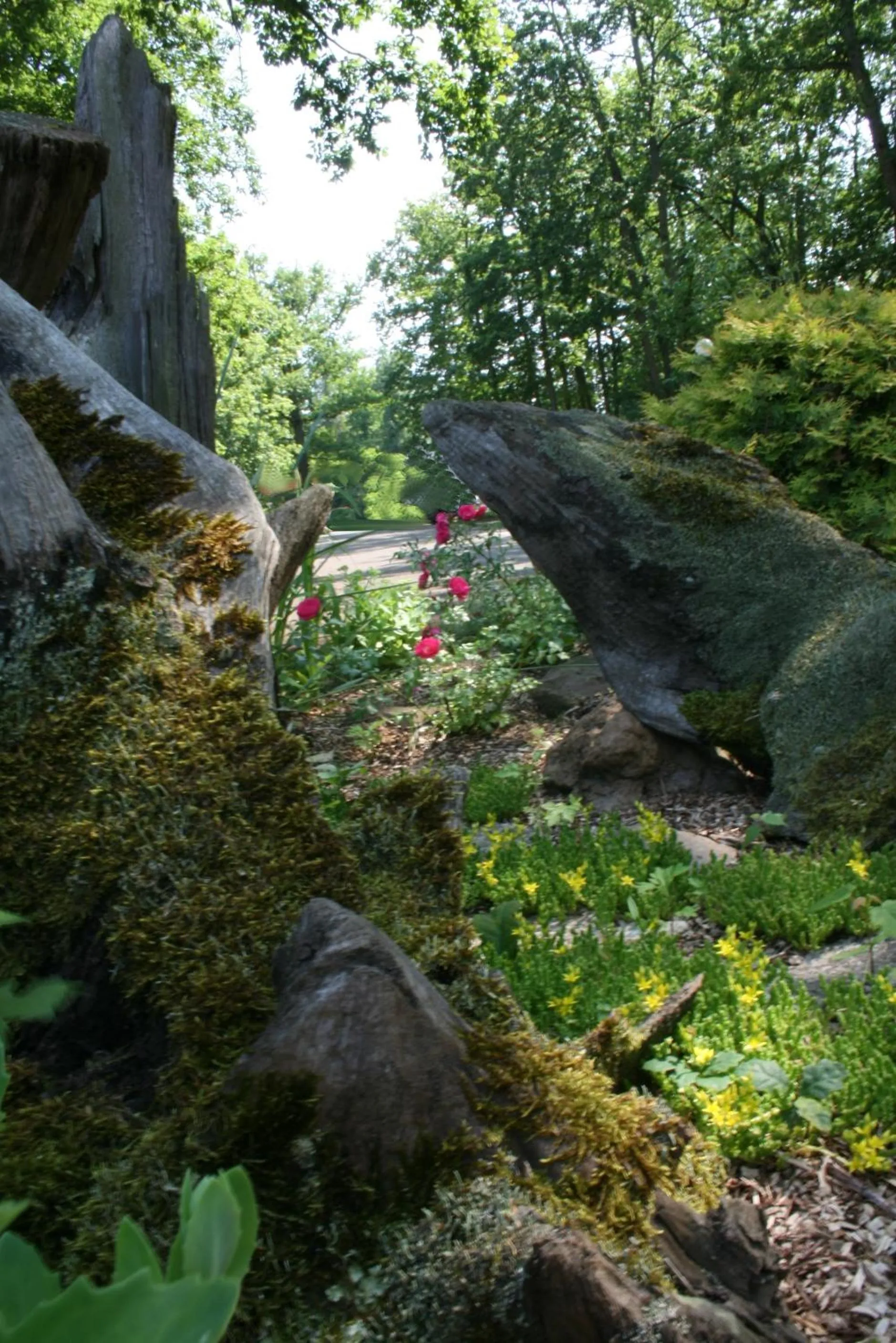 Garden in Le Grand Monarque