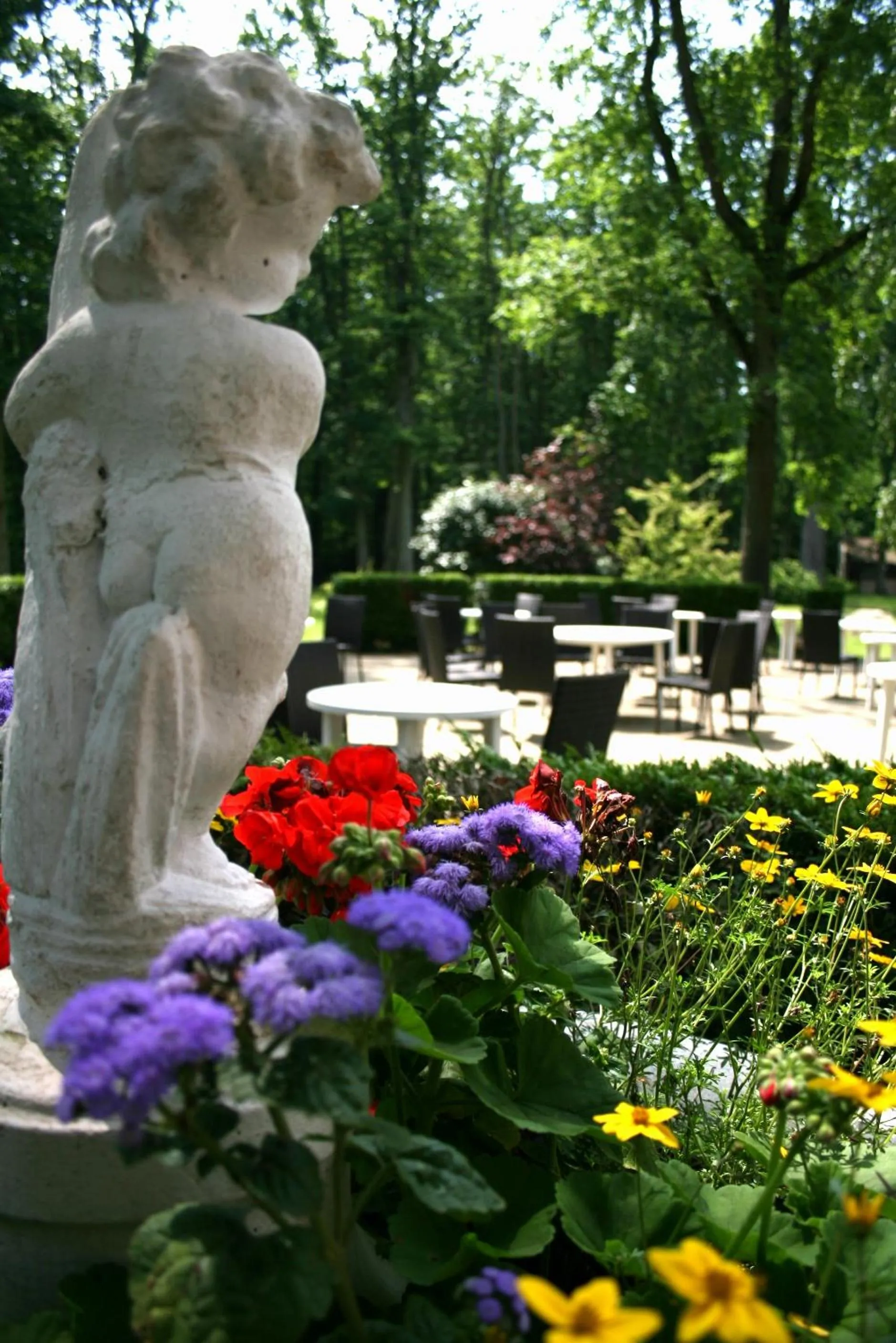 Garden in Le Grand Monarque