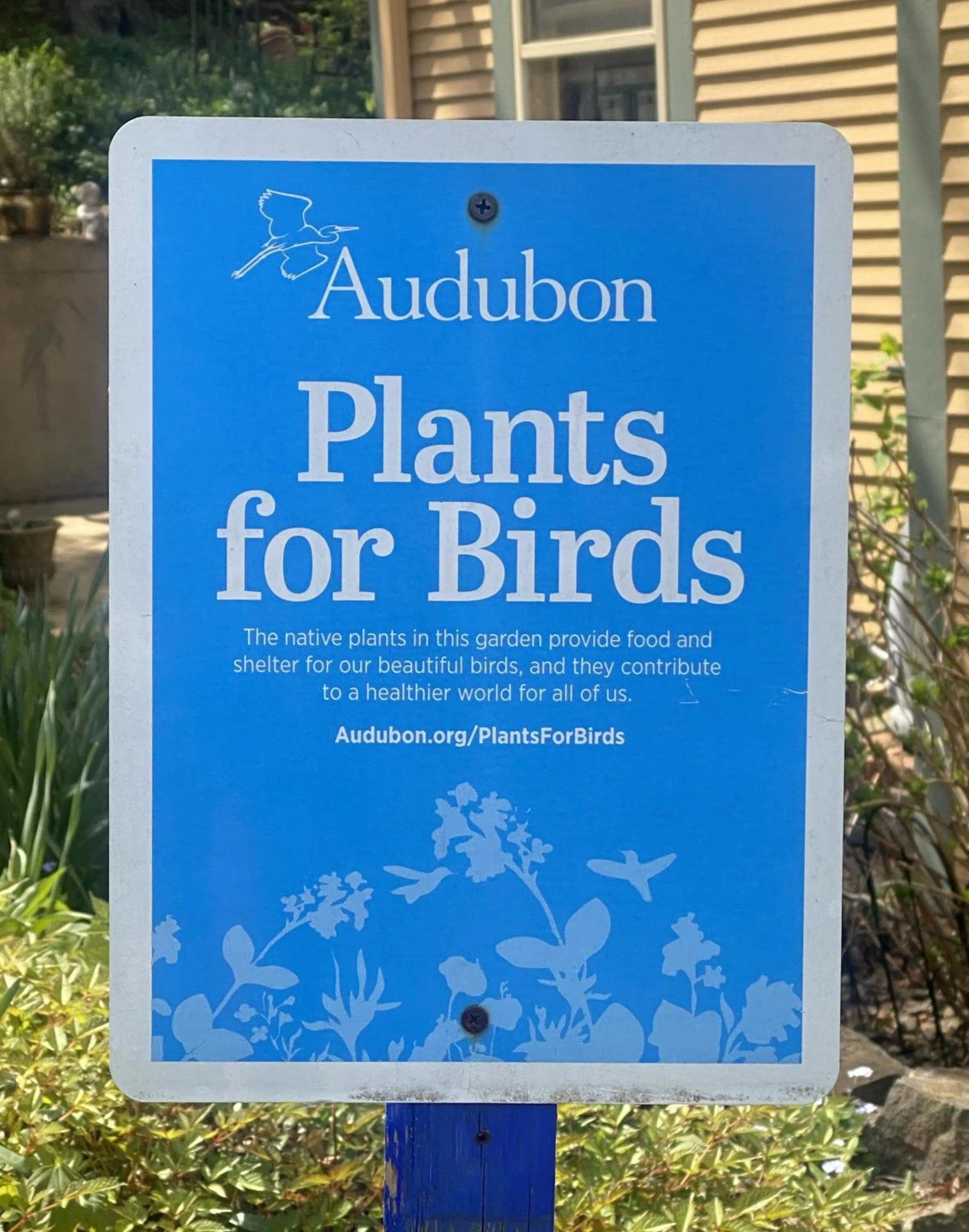 Garden in The Queen, A Victorian Bed & Breakfast