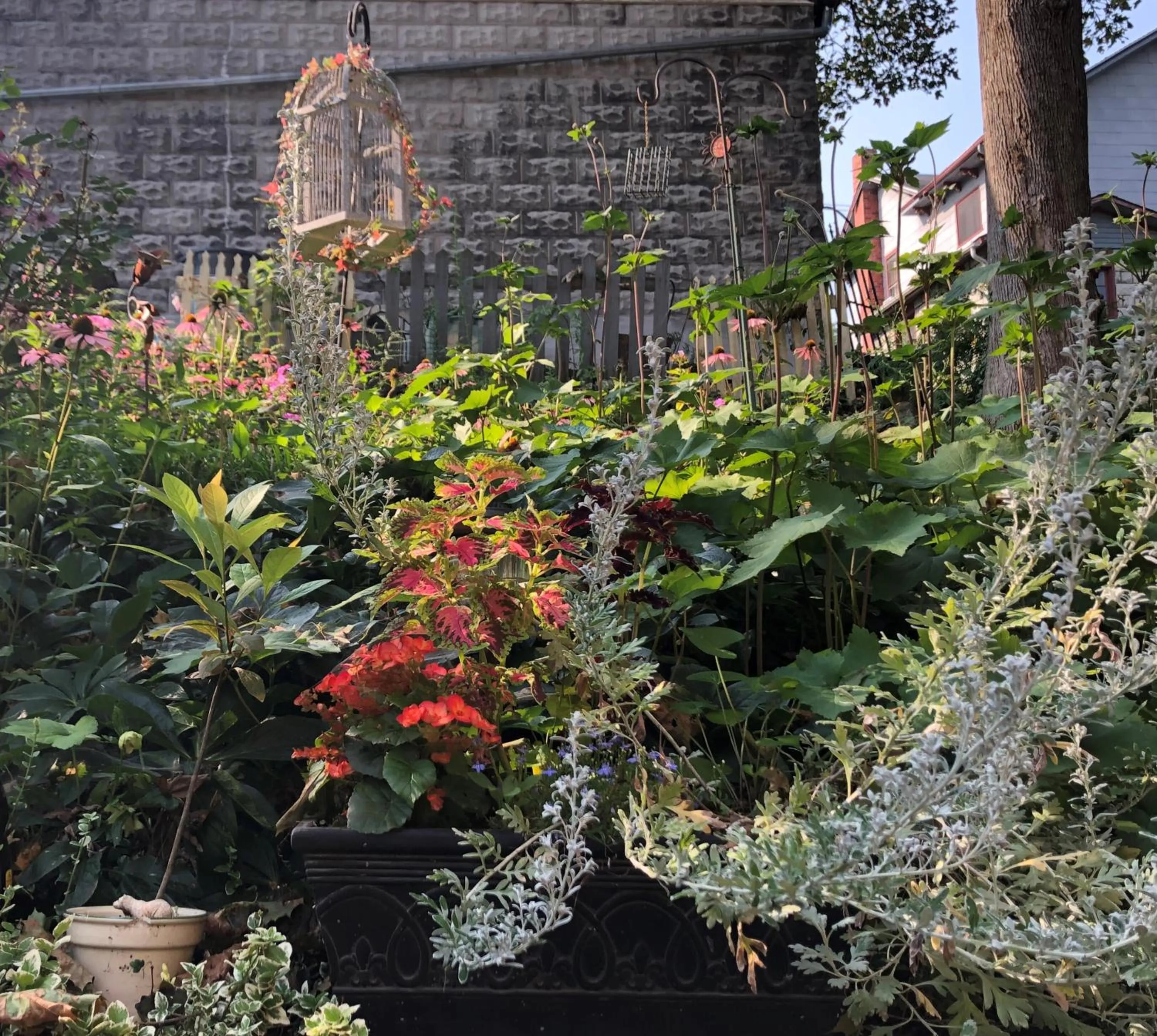Garden view in The Queen, A Victorian Bed & Breakfast