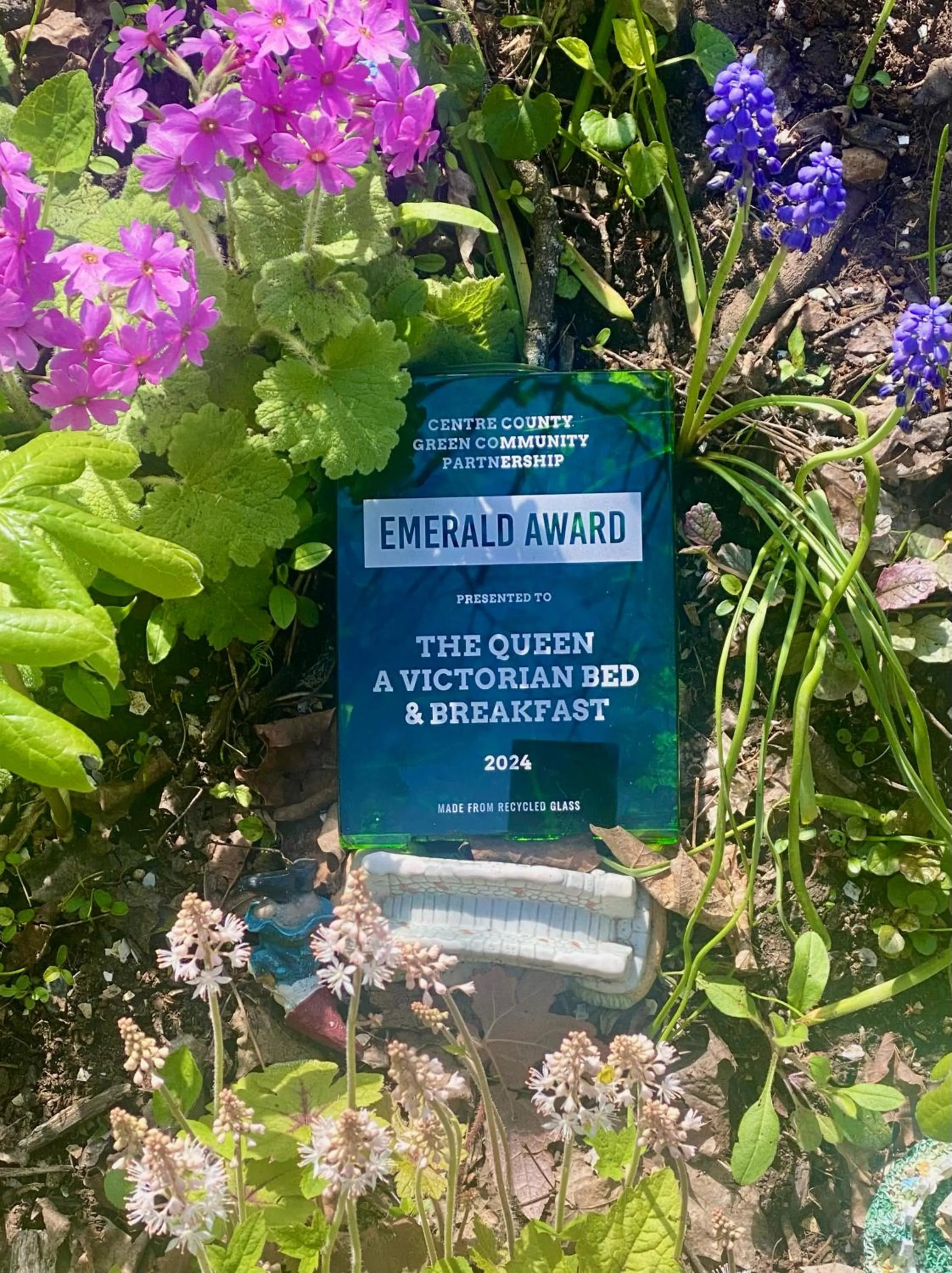 Certificate/Award in The Queen, A Victorian Bed & Breakfast