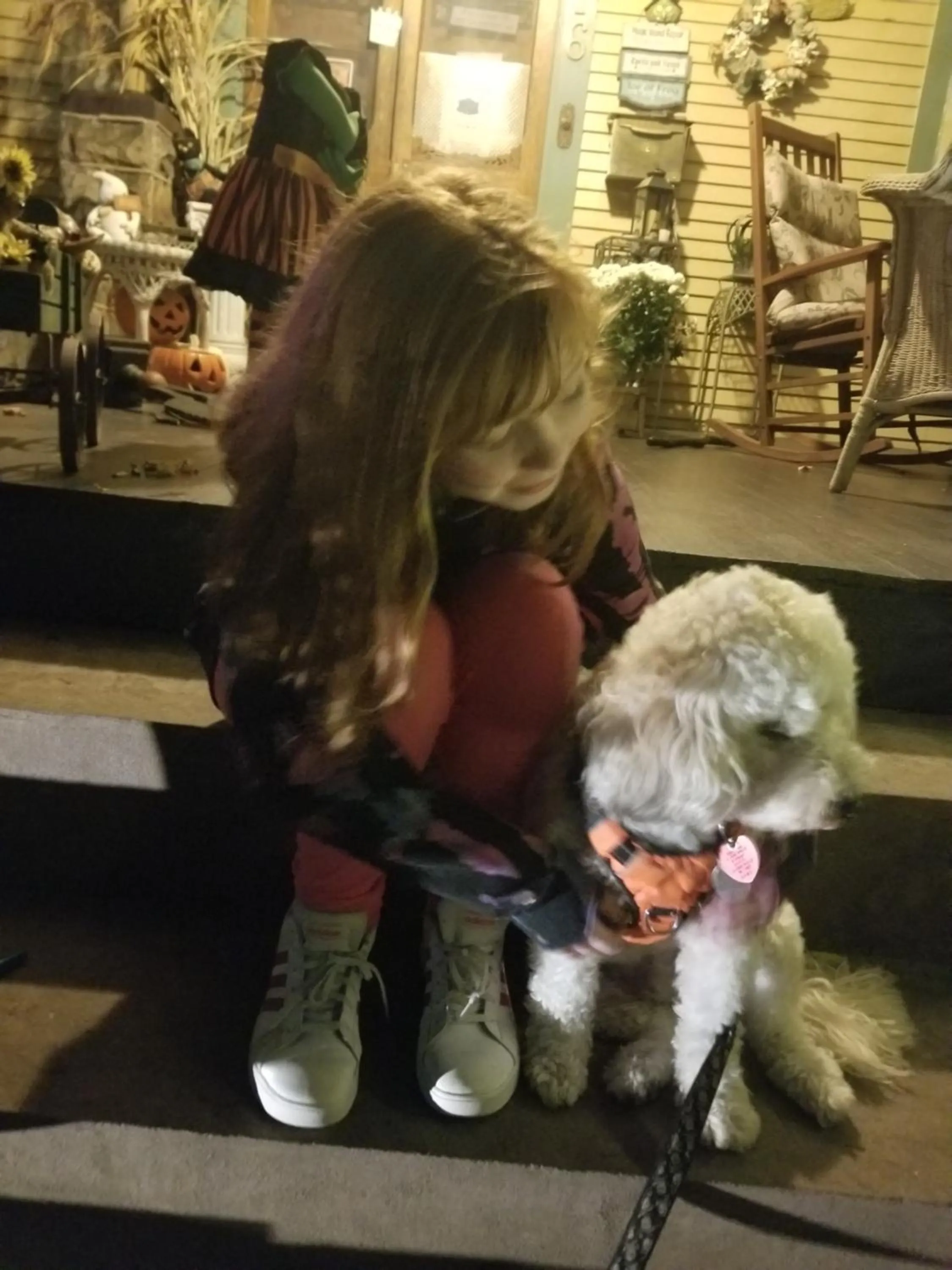 Pets in The Queen, A Victorian Bed & Breakfast