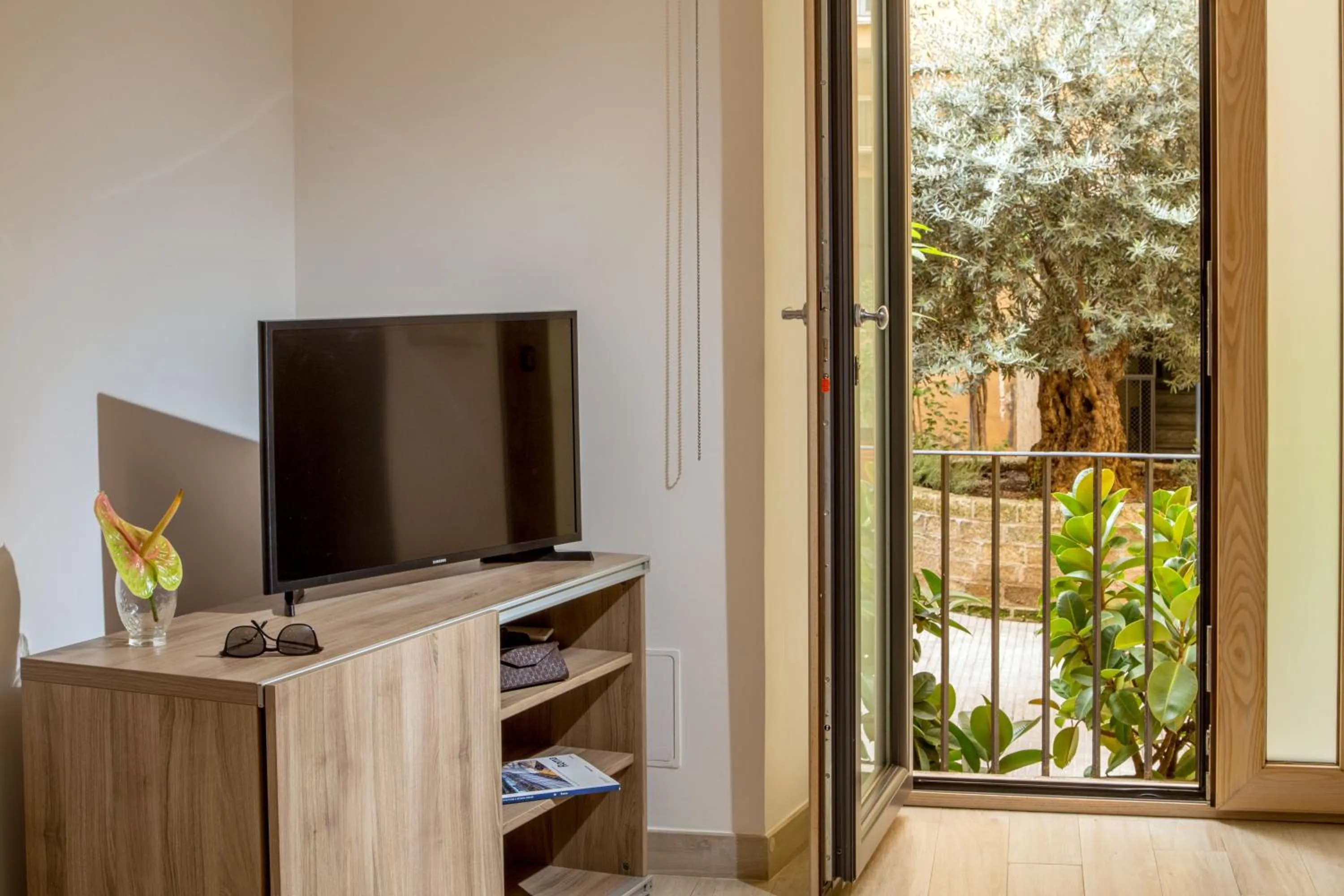 TV and multimedia in Vatican Studio Apartment
