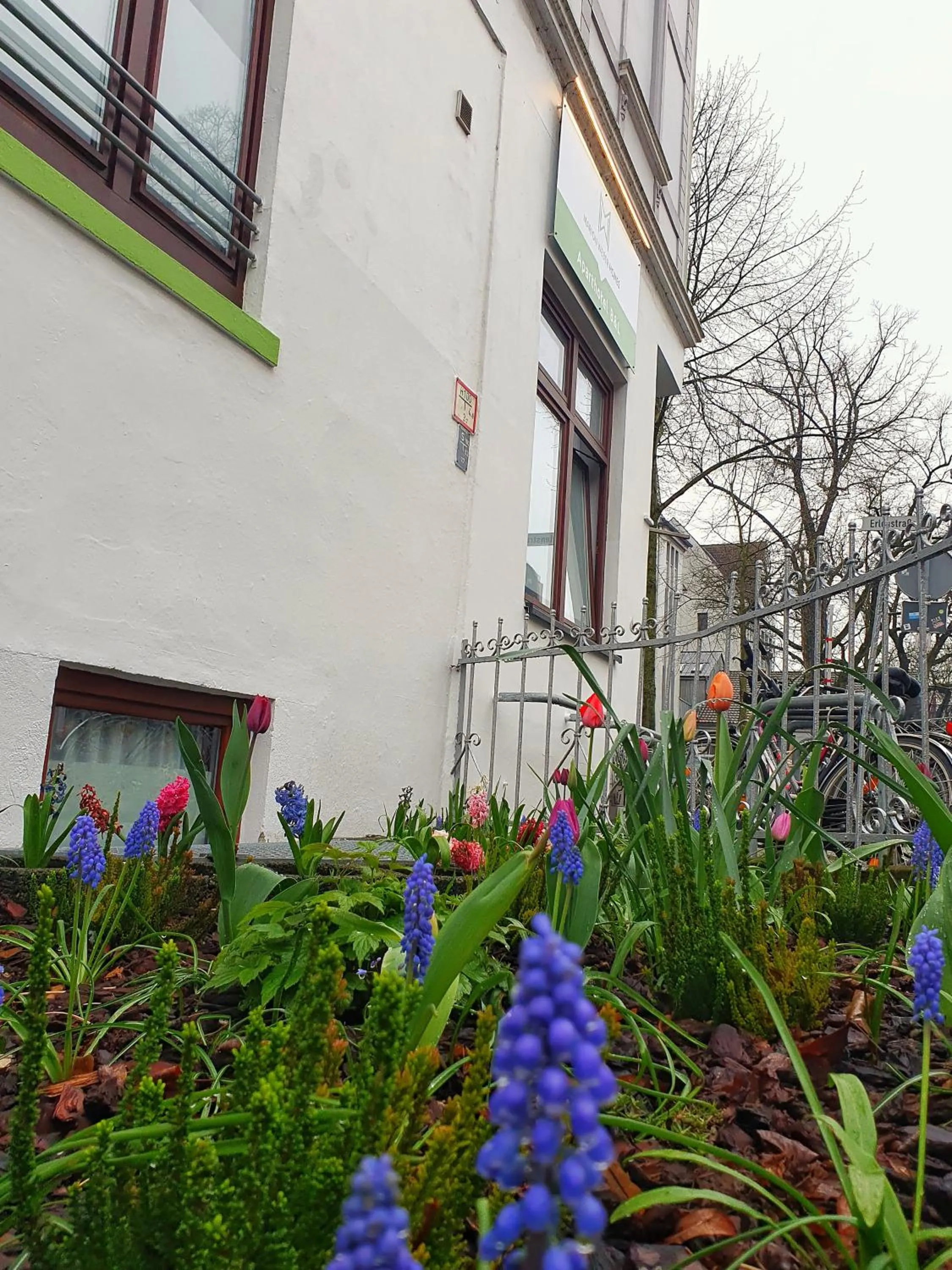 Garden in Aparthotel B & L
